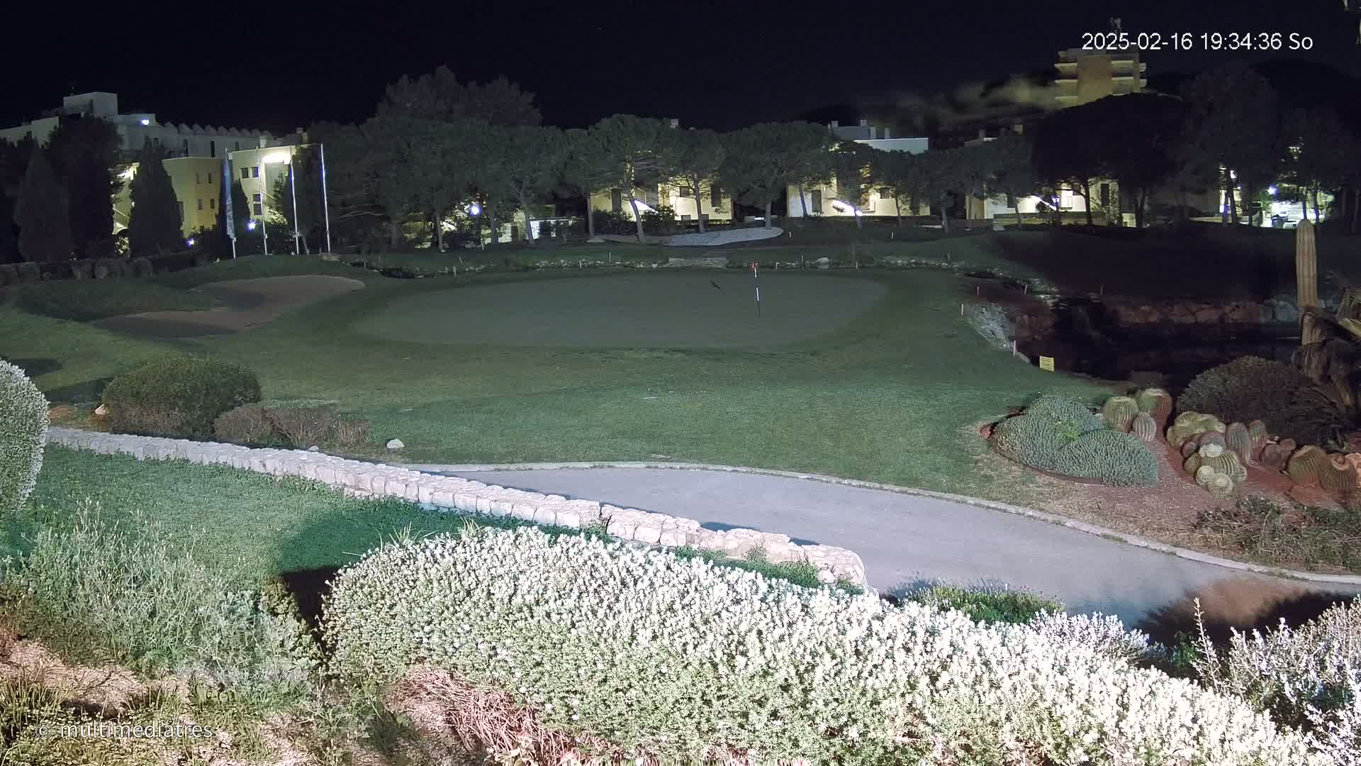 A putting green on a golf course is illuminated at night, with a building and trees visible in the background.