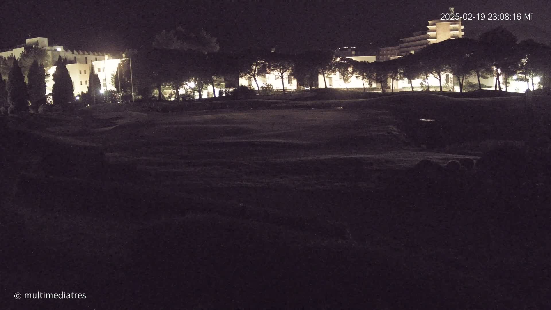 A dark, nighttime view of a grassy area with illuminated buildings and trees in the background.