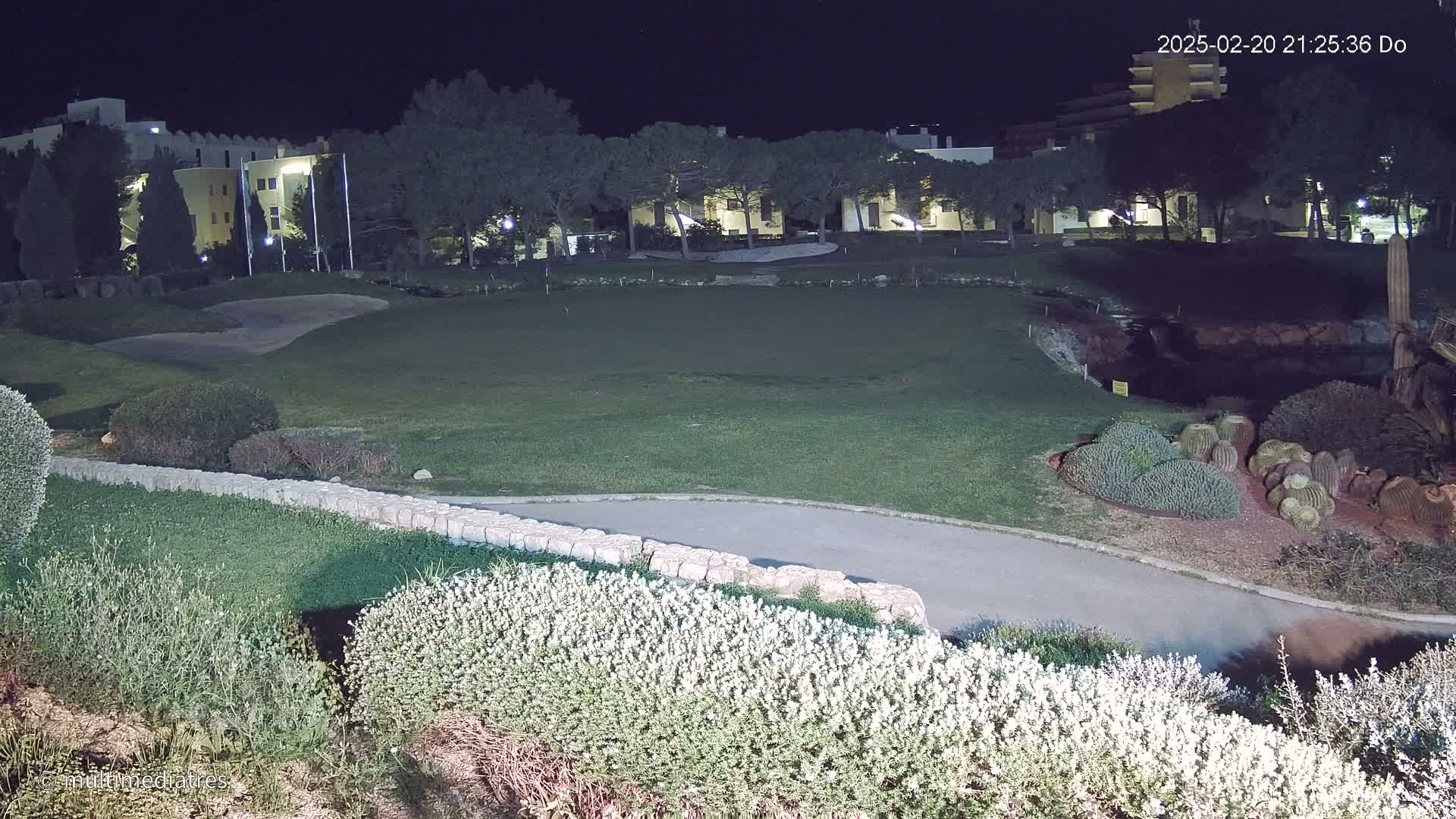A nighttime view of a grassy area, possibly a golf course, with buildings in the background, illuminated by artificial light, and featuring a variety of landscaping elements including hedges and cacti.