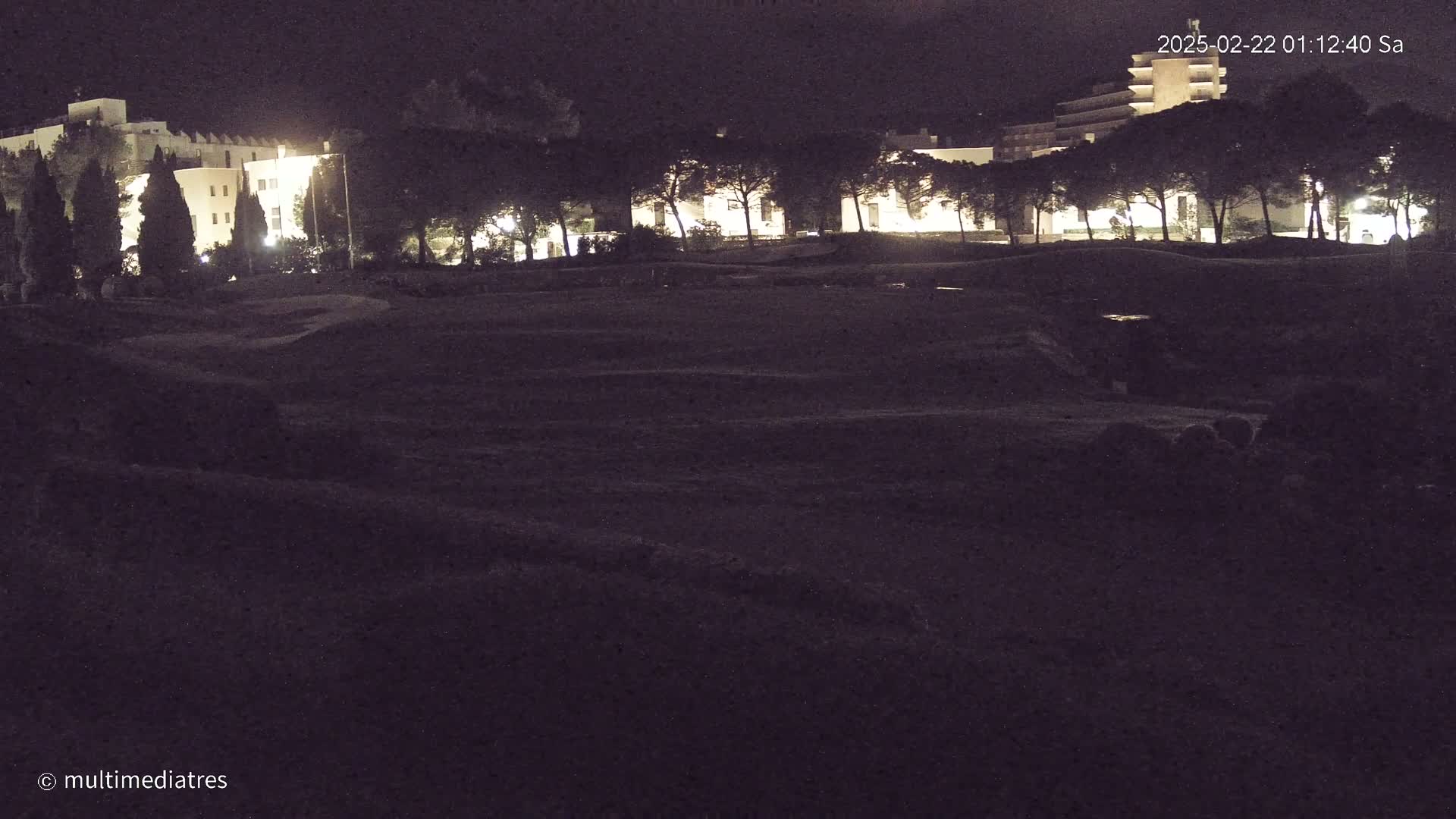 A dark, nighttime view of a grassy area with illuminated buildings and trees in the background.