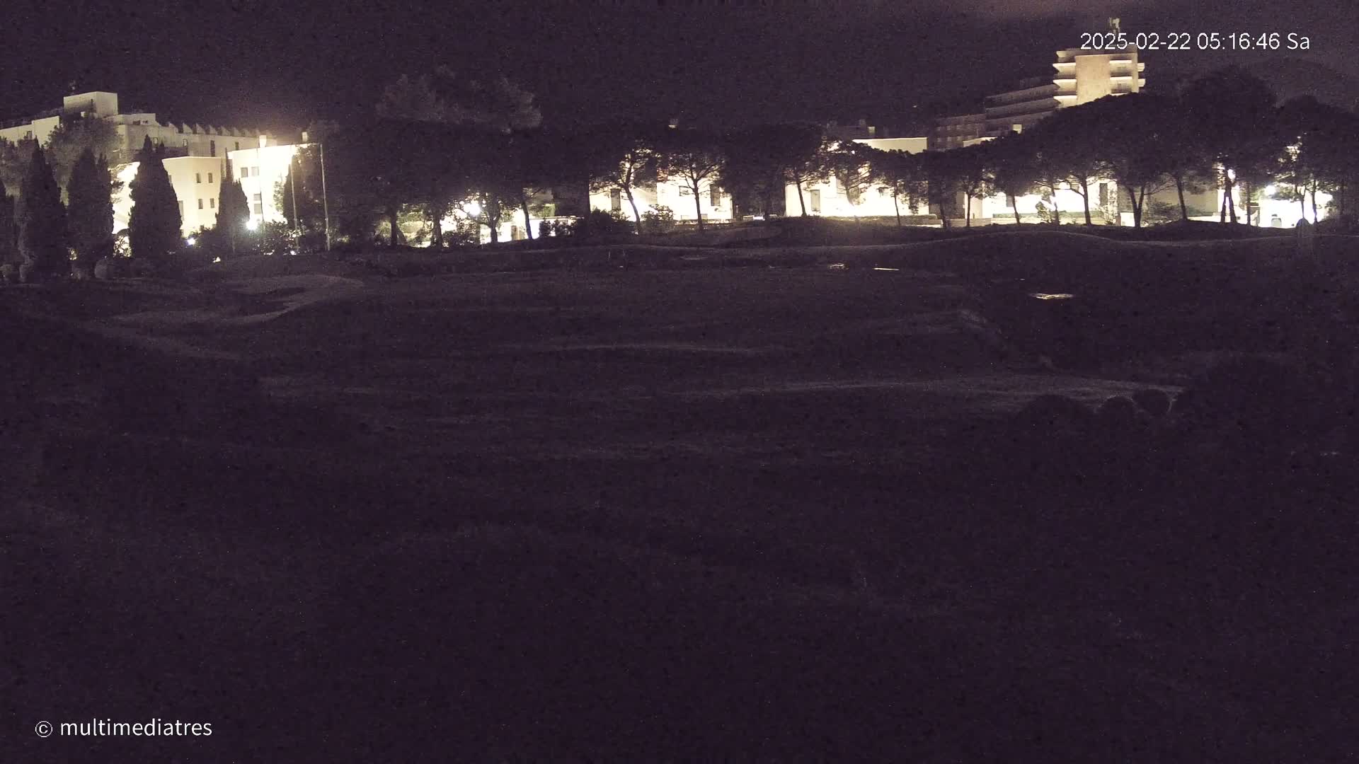 A nighttime view of a row of lit buildings behind a line of trees and a dark, grassy area in the foreground.