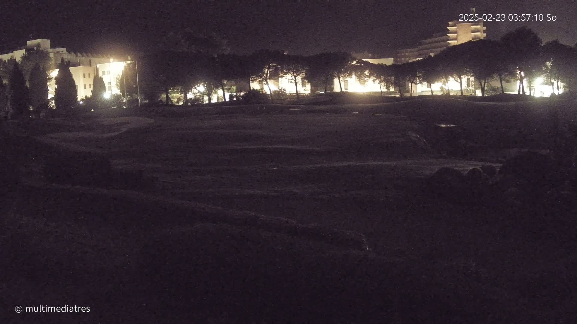 At night, illuminated buildings stand behind a row of dark trees on a mostly dark, flat expanse of land.