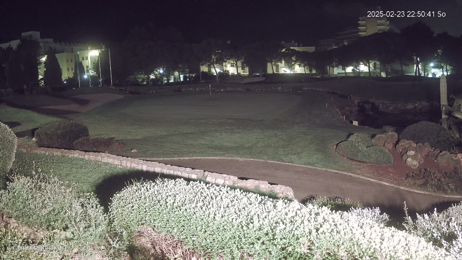 A nighttime view of a golf course putting green, bordered by landscaping and with buildings in the background.