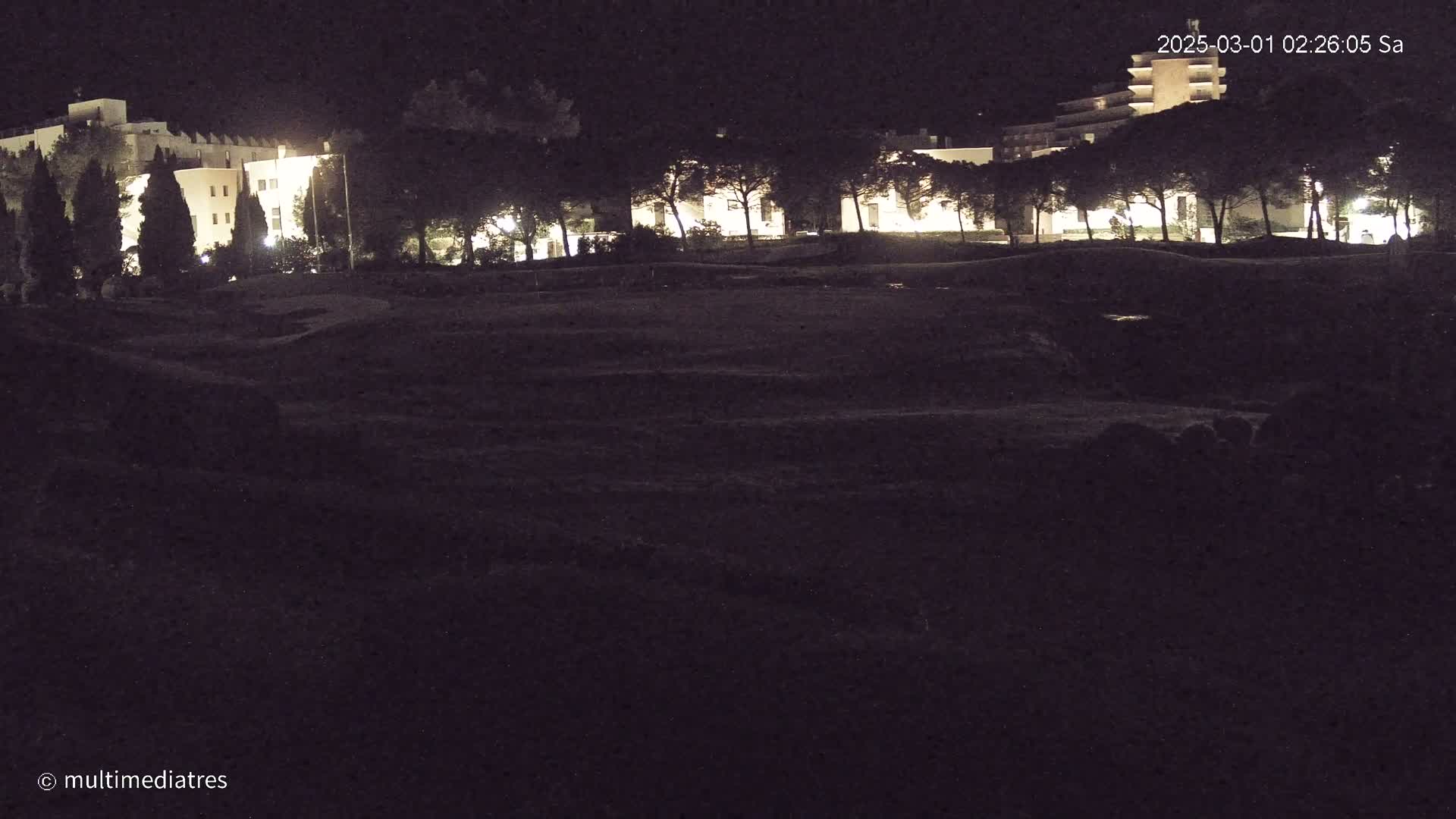 At night, illuminated buildings are partially obscured by trees in the foreground of a dark, grassy area.