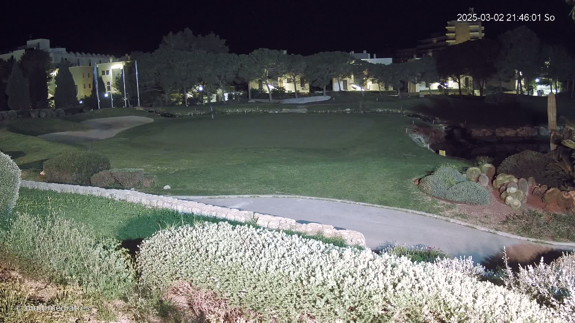 A nighttime view of a putting green at a golf course, adjacent to a building and landscaped area with cacti and shrubs.