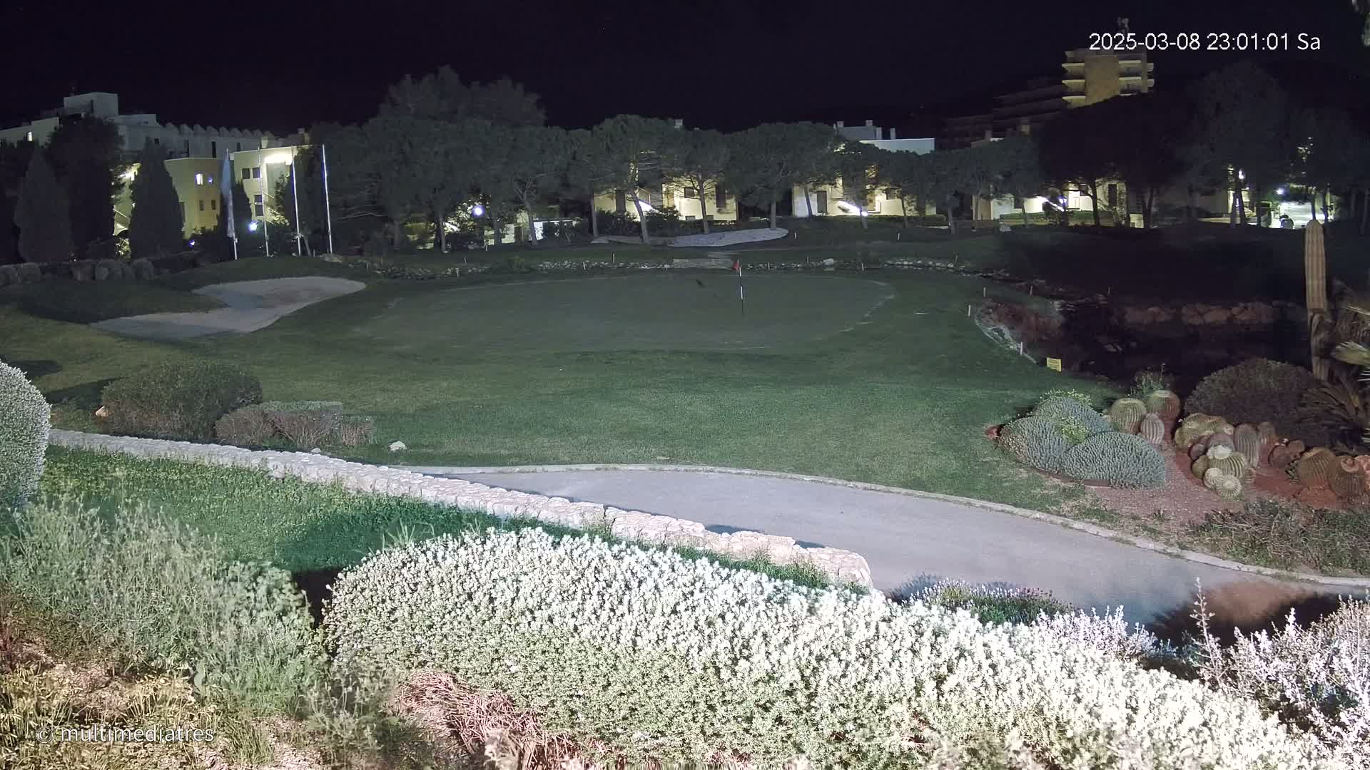 A putting green at night, illuminated, is surrounded by low shrubs and a stone wall, with buildings and trees visible in the background under a dark sky.