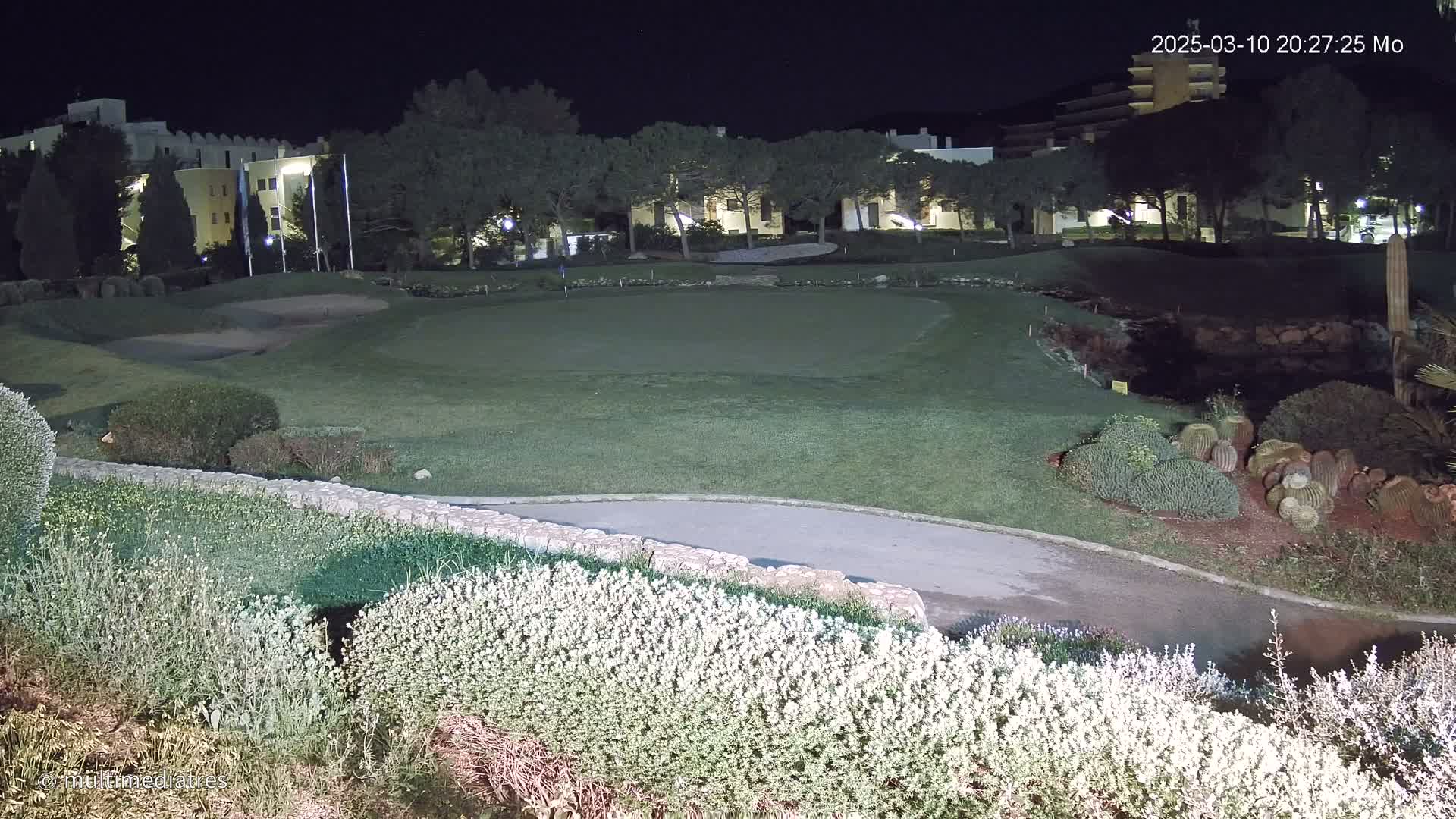 A nighttime view of a putting green, bordered by shrubs and low-lying vegetation, with buildings and trees visible in the background under a clear, dark sky.