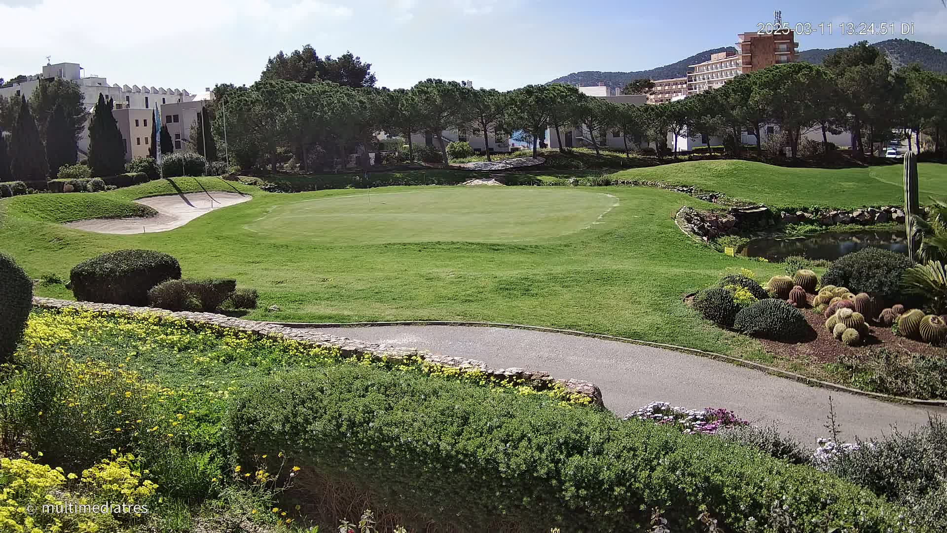 A sunny view of a golf course putting green, surrounded by landscaping, including a small pond and cactus garden, with buildings and trees in the background.