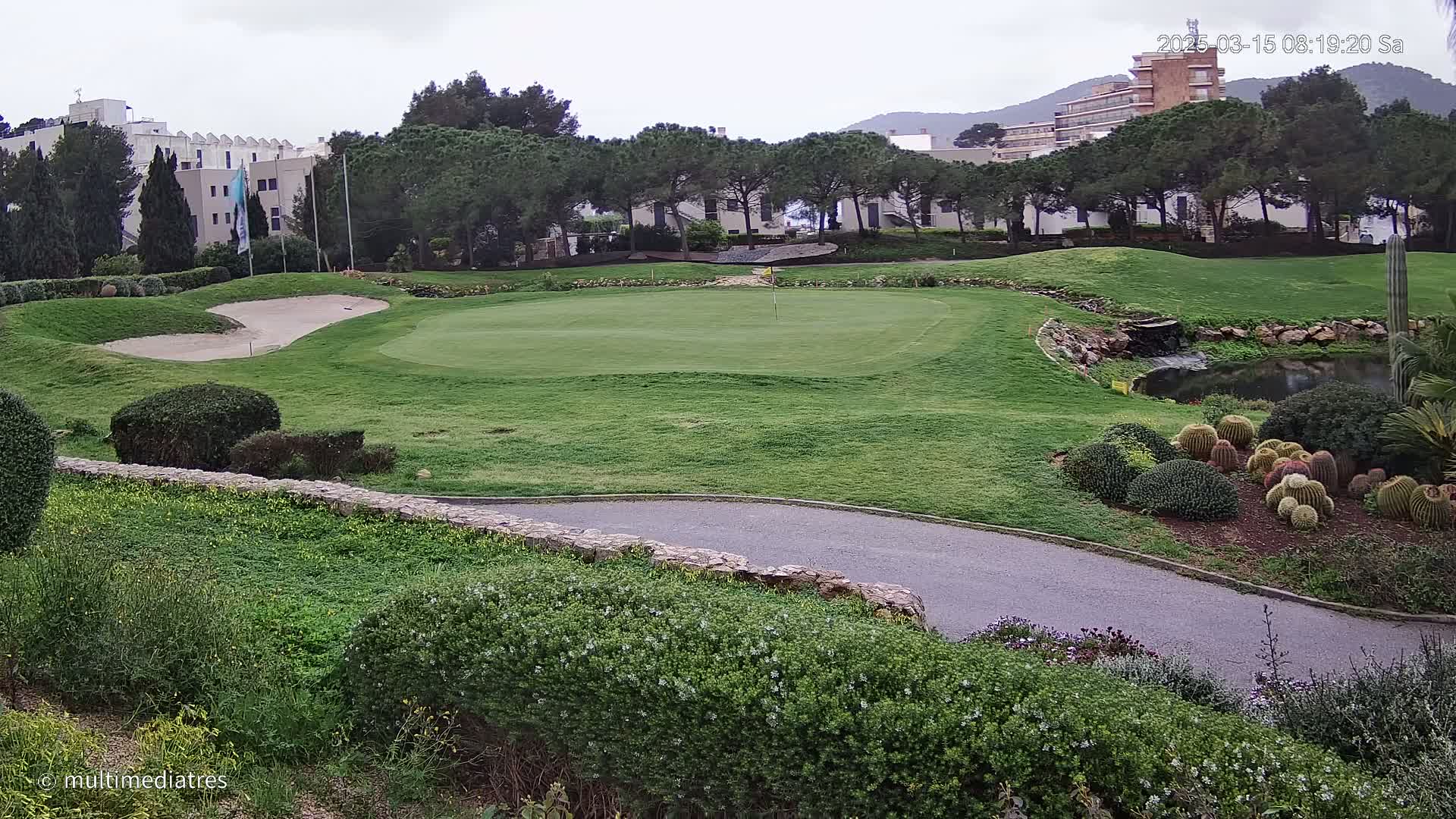 A golf course green with a sand trap, a small pond, and a collection of cacti is visible under an overcast sky.