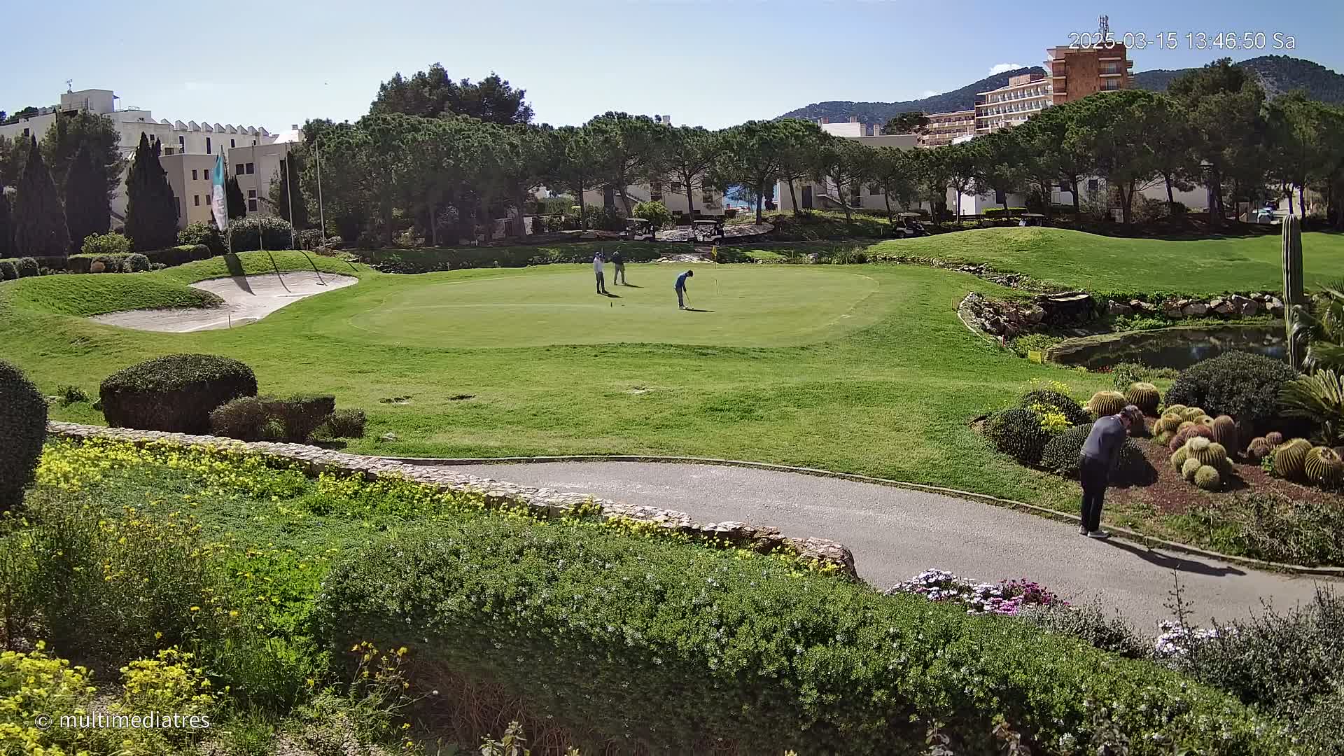 Three golfers are on a green putting area of a golf course on a sunny day, with buildings and landscaping visible in the background.