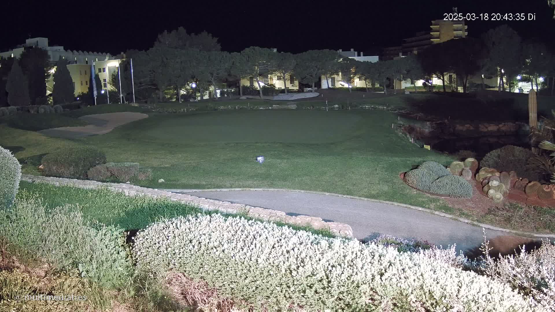 A nighttime view of a putting green on a golf course, bordered by hedges and a low stone wall, with a building and trees in the background under a clear, dark sky.