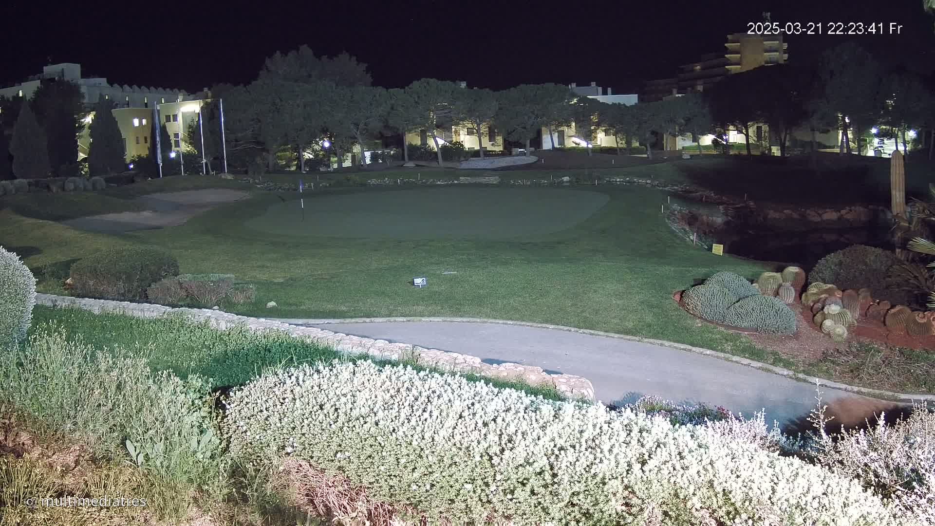 A nighttime view of a putting green on a golf course, surrounded by shrubs and trees, with a building visible in the background under a clear, dark sky.