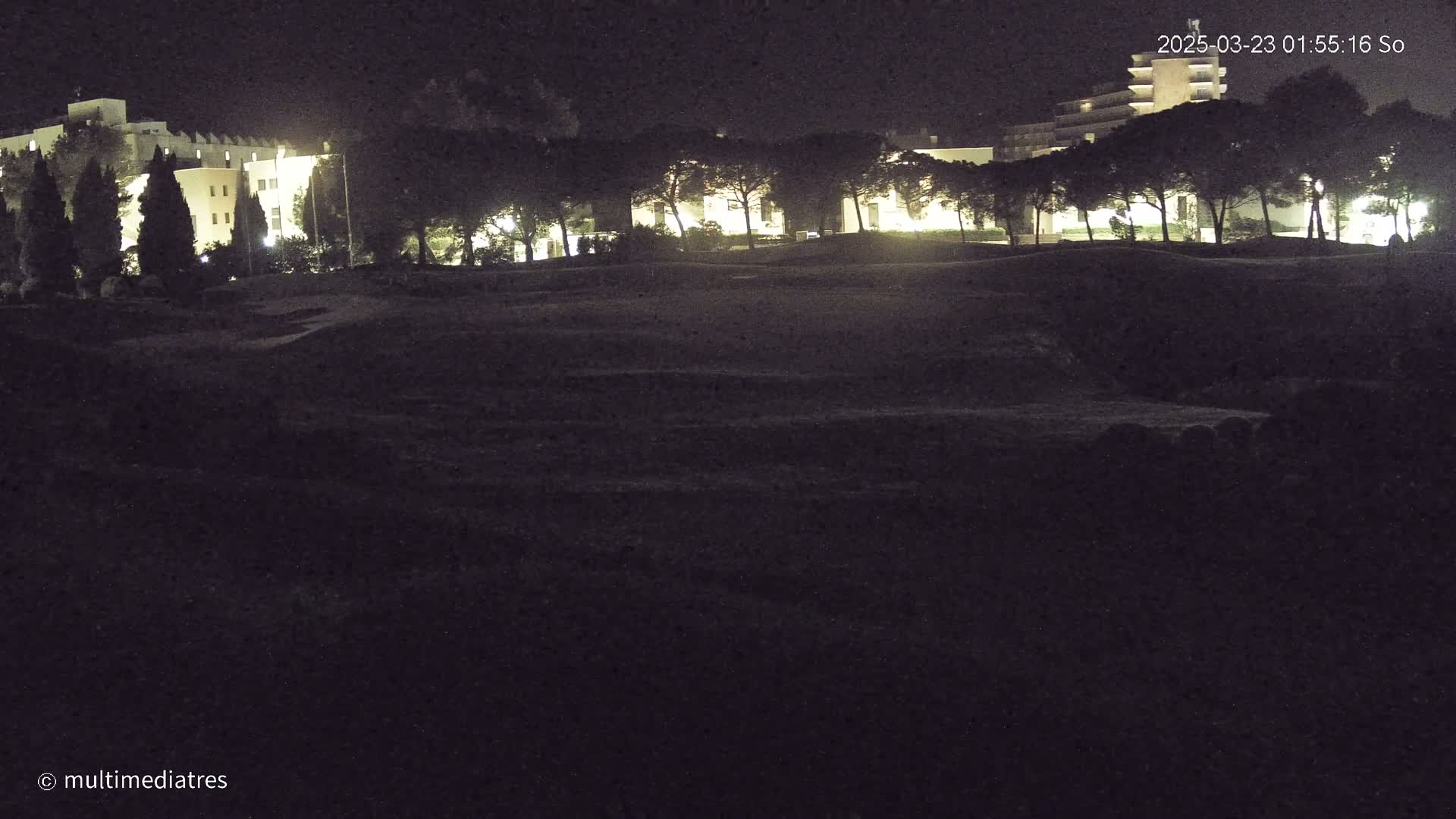 A nighttime, low-light view shows a grassy area with a row of illuminated trees in front of buildings.