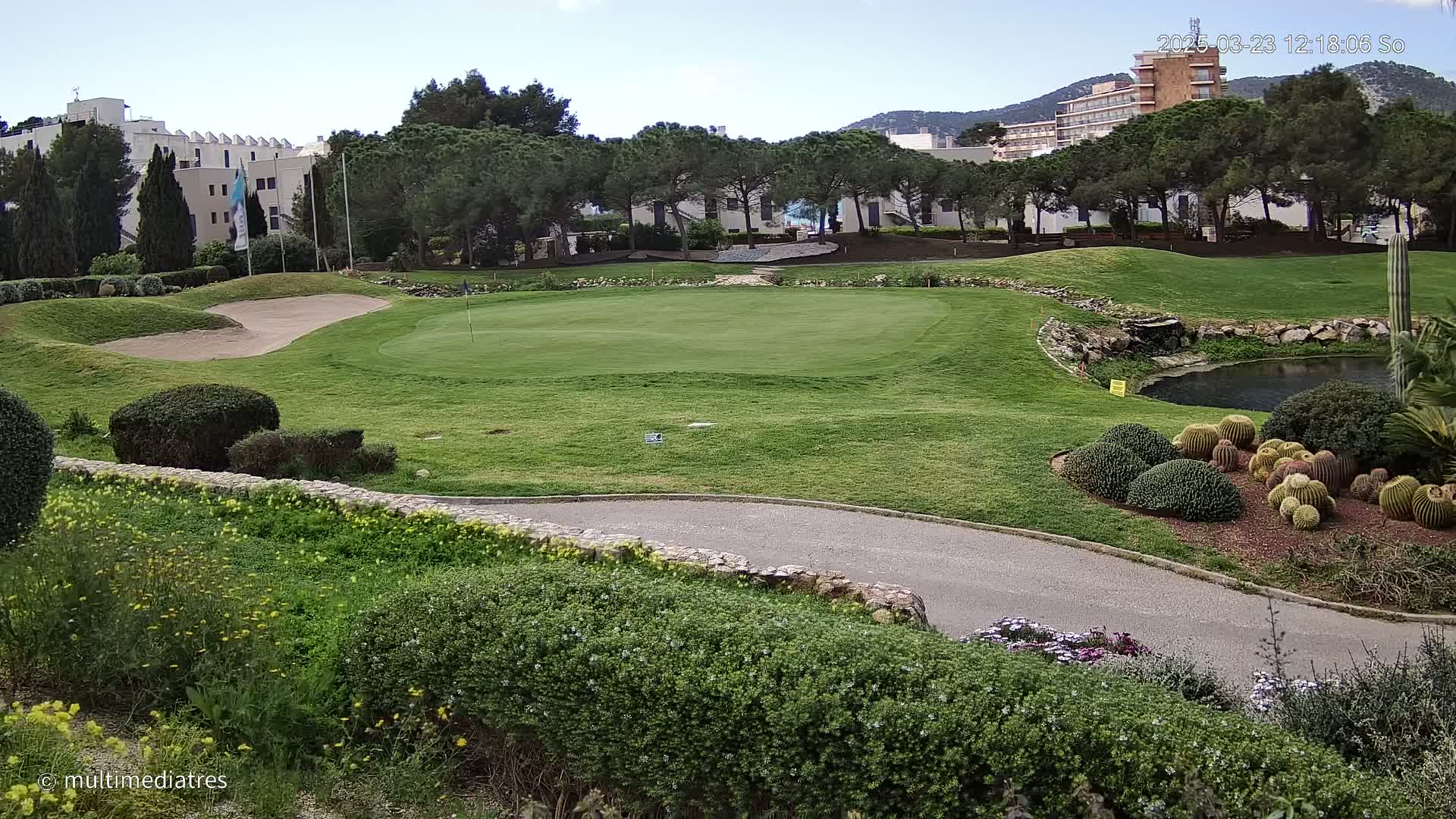 A golf course putting green with sand traps and a small pond is situated near buildings and a cluster of pine trees under a clear sky.