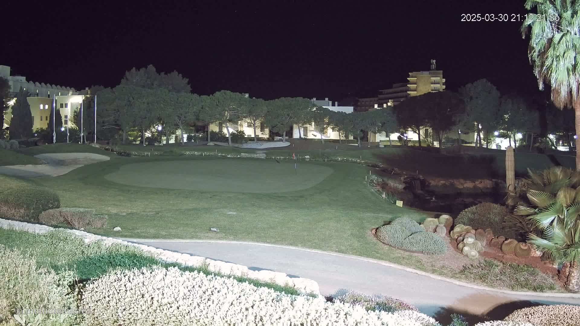 A golf course putting green is illuminated at night, nestled between buildings and landscaping that includes cacti and other desert plants.
