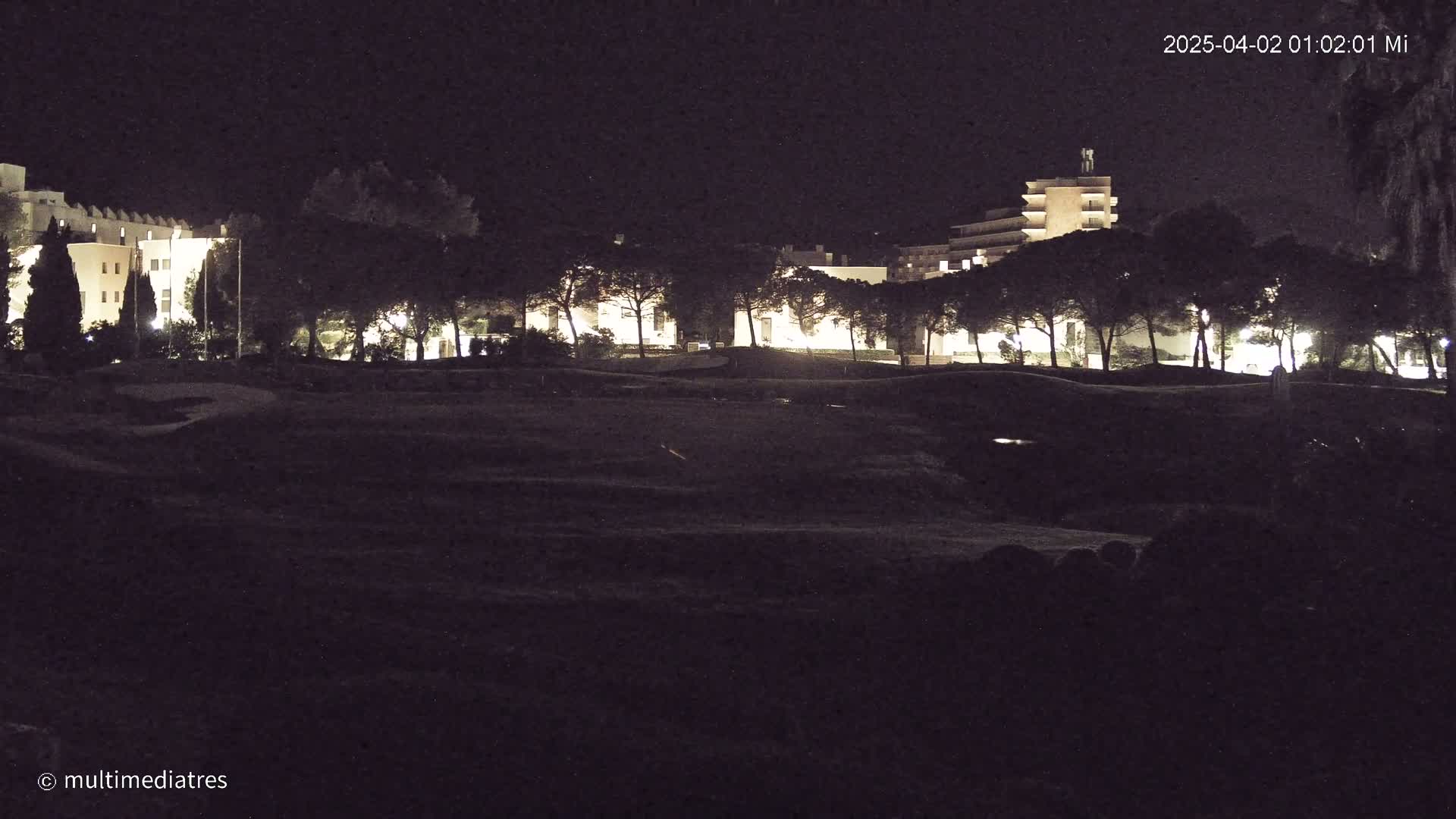 At night, a line of illuminated buildings is partially obscured by a row of dark trees, situated beyond a dimly lit grassy area.