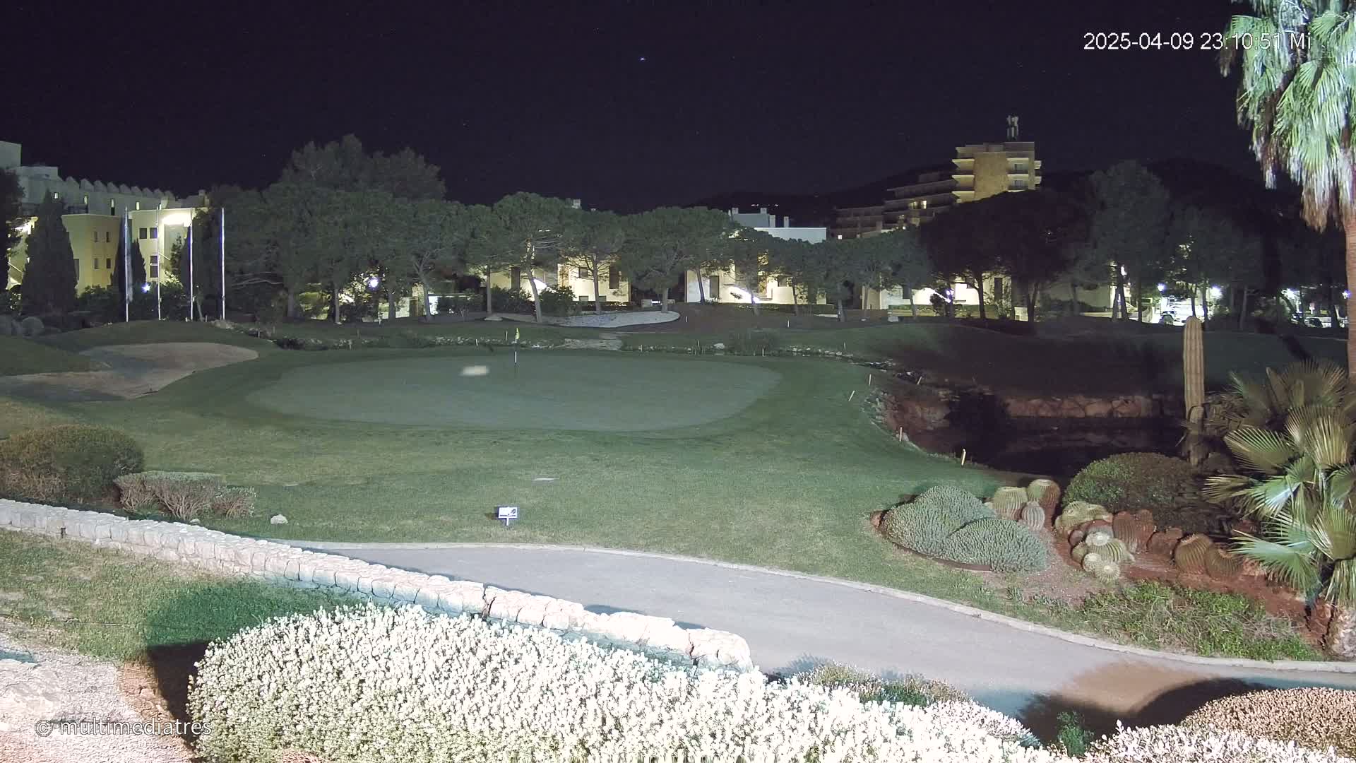 A nighttime view of a golf course putting green, bordered by low stone walls and landscaping featuring cacti and other desert plants, with buildings illuminated in the background under a clear, dark sky.