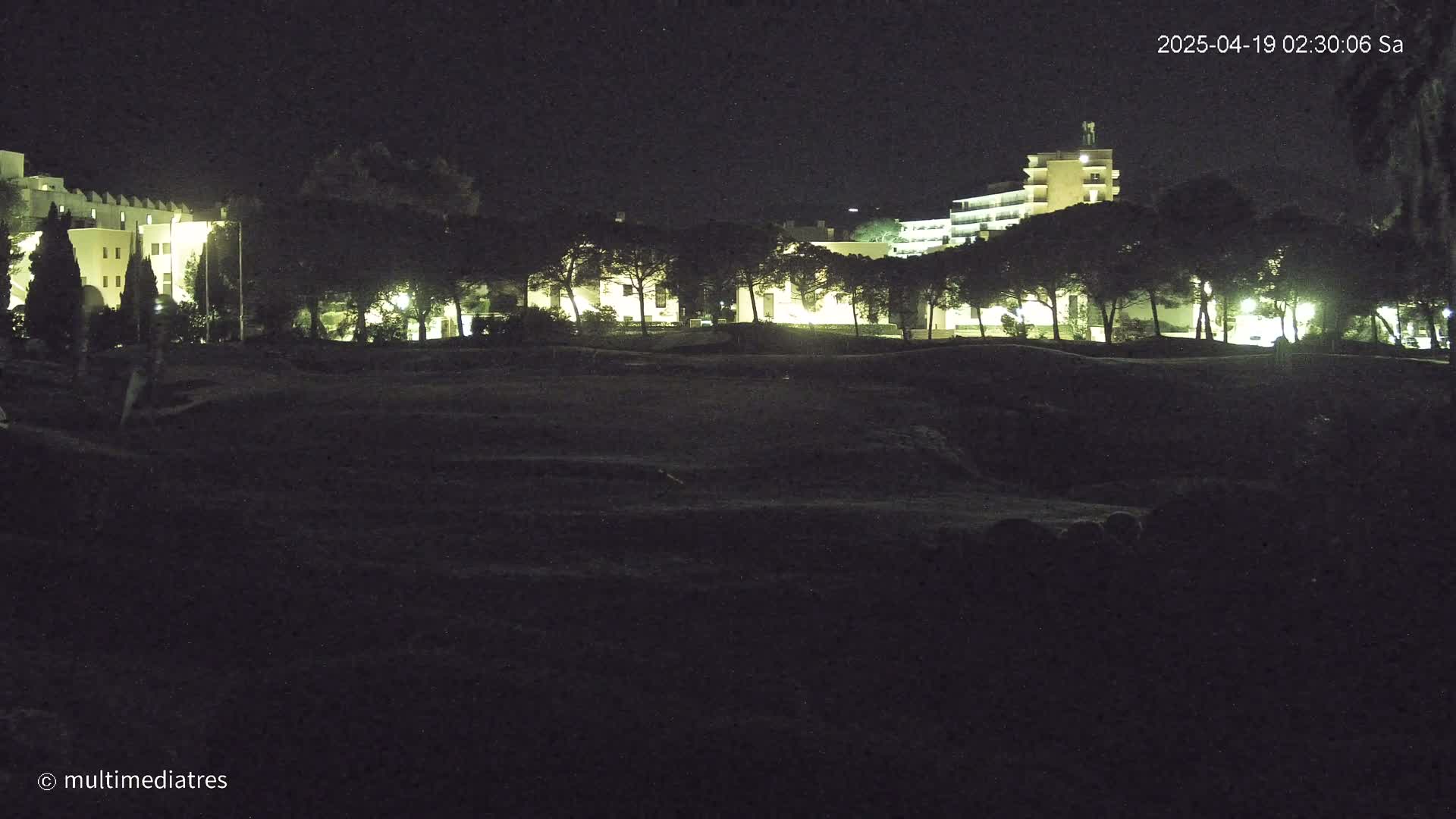 A dark, nighttime scene shows a line of trees illuminated by artificial light in front of several buildings.
