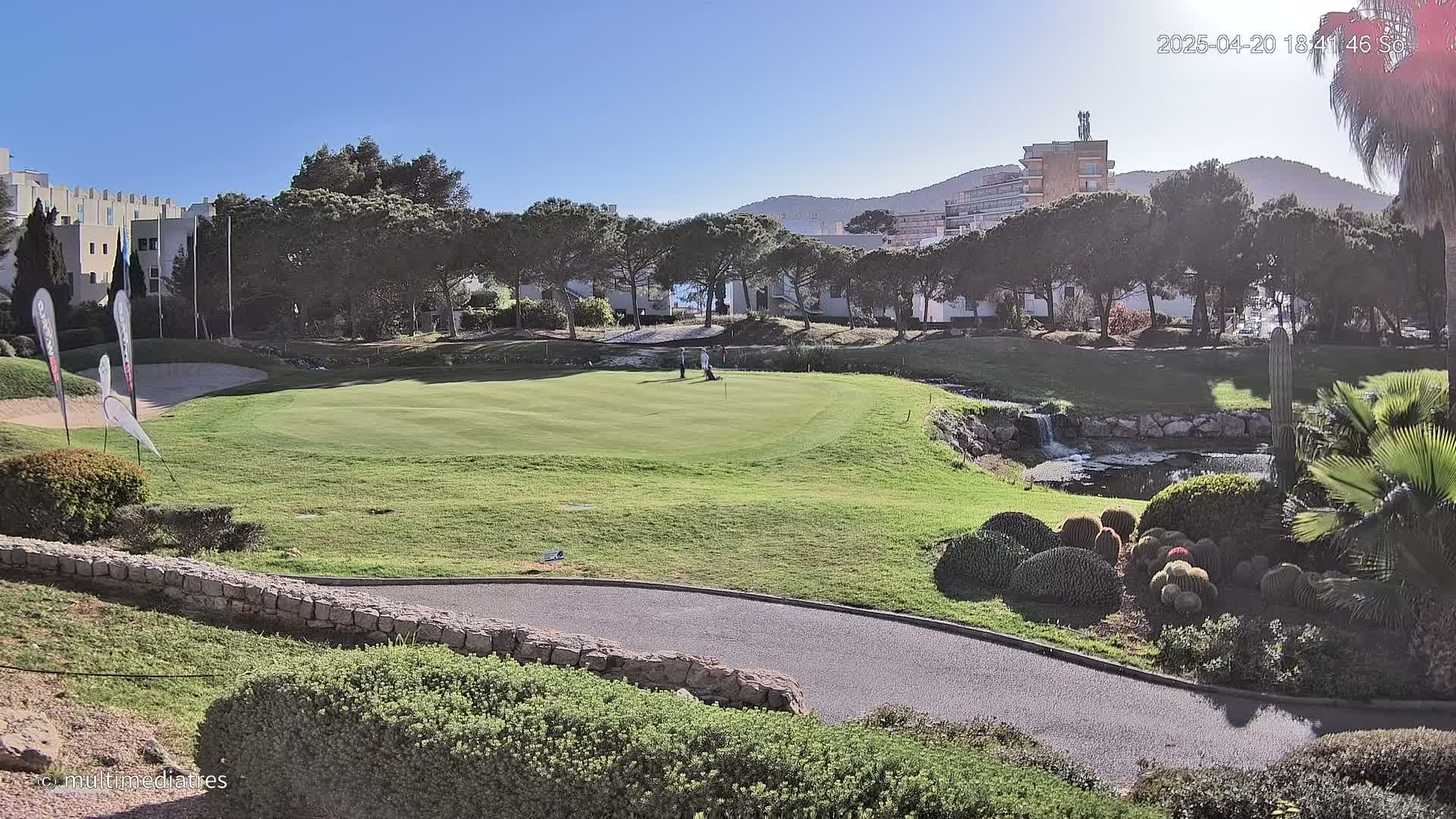 A golf course green with two golfers, bordered by trees, buildings, and a landscaped area with cacti, under a clear blue sky.