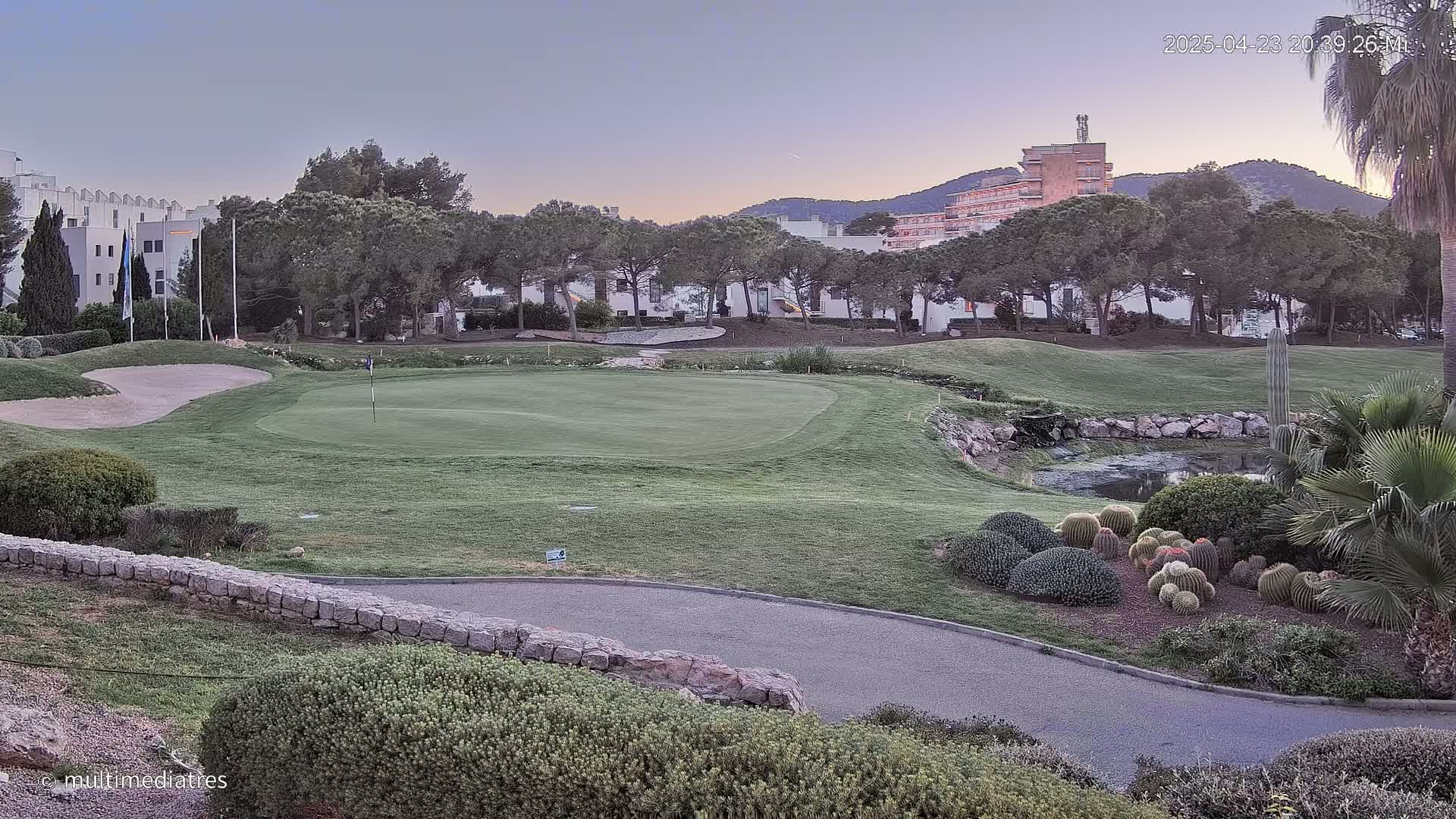 A golf course green sits below a row of trees and buildings at dusk.