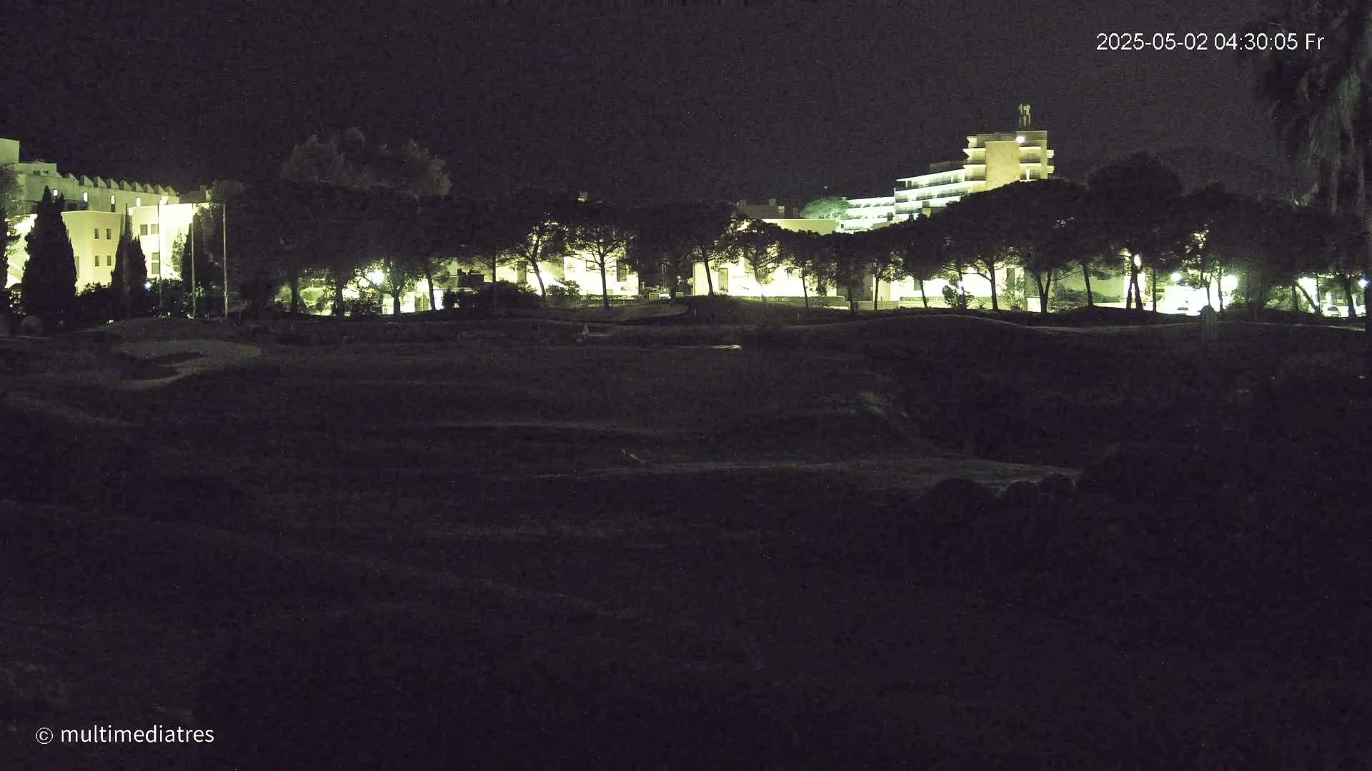 At night, illuminated buildings are partially obscured by a row of dark trees in front of them.