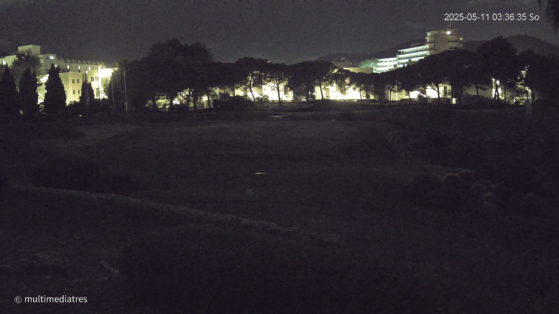 A dark, nighttime scene shows illuminated buildings behind a row of trees, with a mostly empty, dark foreground.
