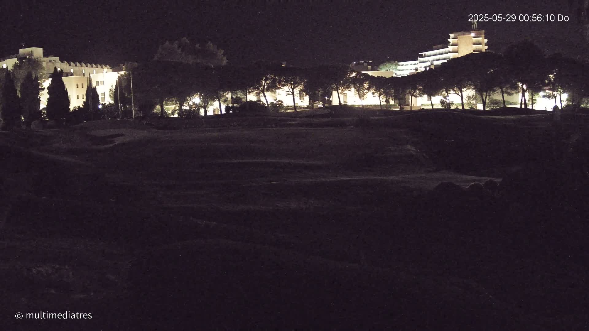 At night, a dark, possibly grassy area sits in front of a line of illuminated trees and buildings.