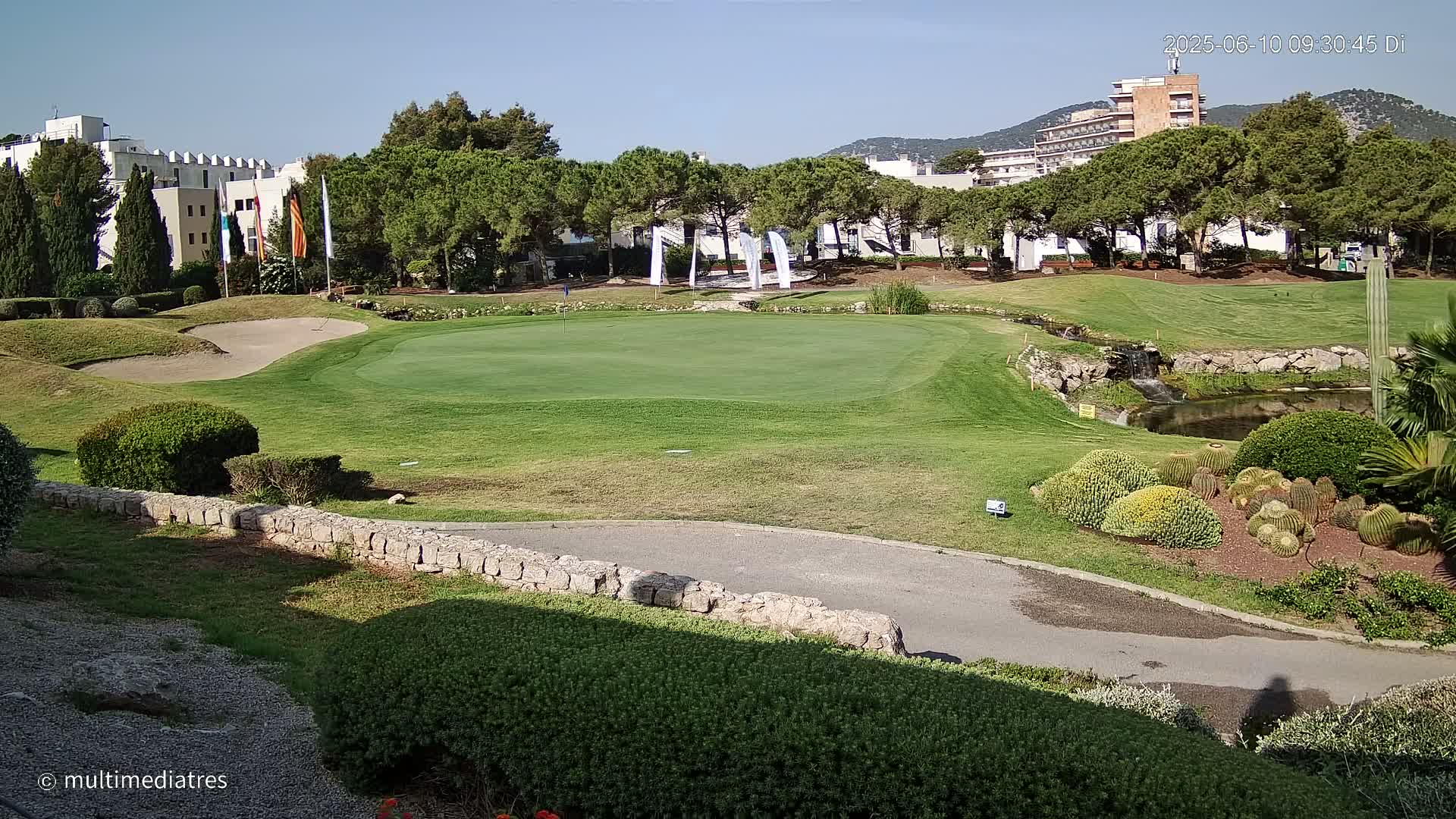 A golf course putting green is situated near a small pond and cactus garden, with buildings and trees in the background under a sunny sky.