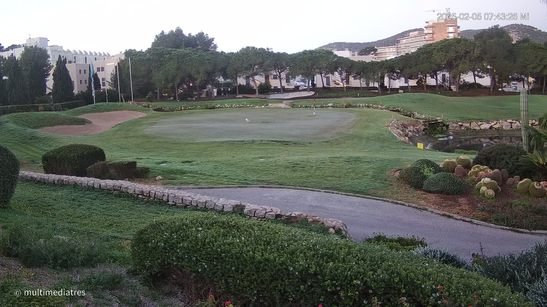 A golf course green with a sand trap, bordered by shrubs and a low stone wall, is situated near a building and a line of trees under a mostly clear sky.
