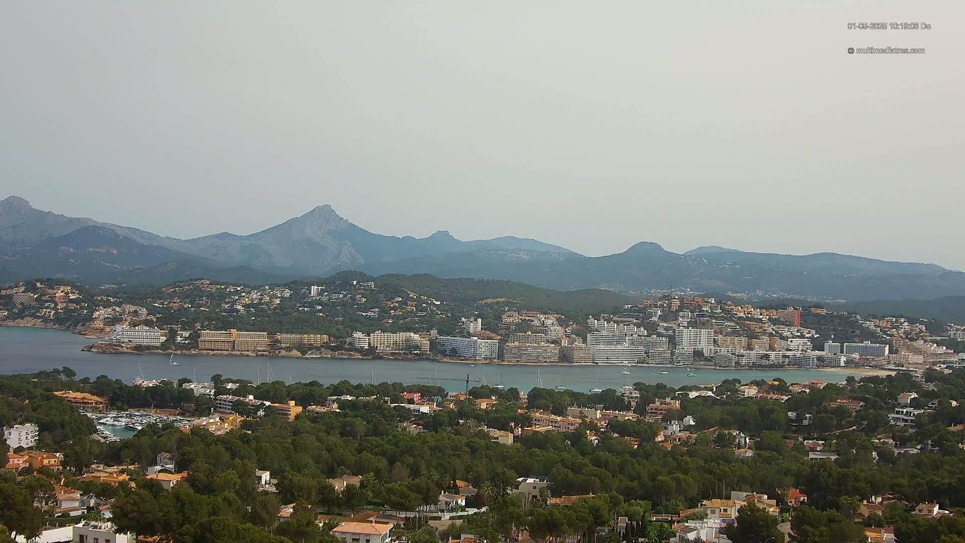 A coastal town with numerous buildings nestled amongst green trees and hills, backed by a hazy mountain range under a light, overcast sky.