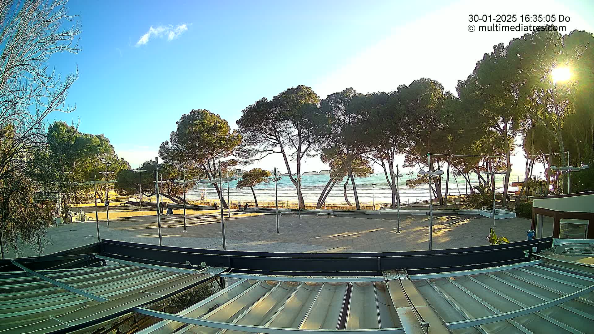 A paved plaza overlooks a sandy beach with calm waves and a row of pine trees under a mostly sunny sky.