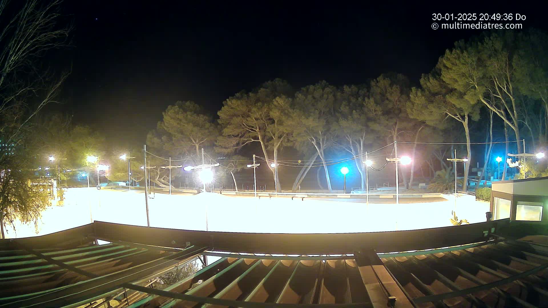A brightly lit, empty outdoor rink is surrounded by tall, dark trees under a clear night sky.