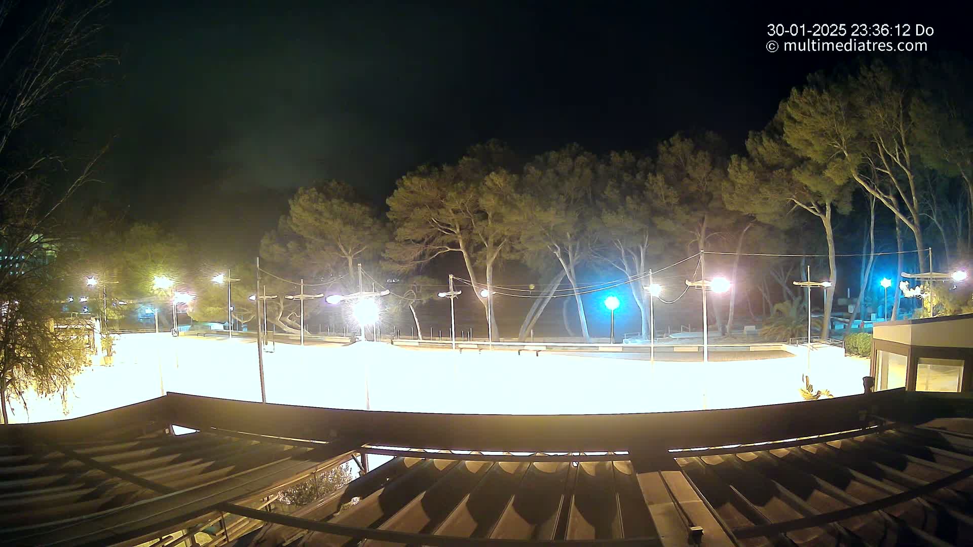 A brightly lit, empty outdoor rink at night, surrounded by trees under a dark sky.