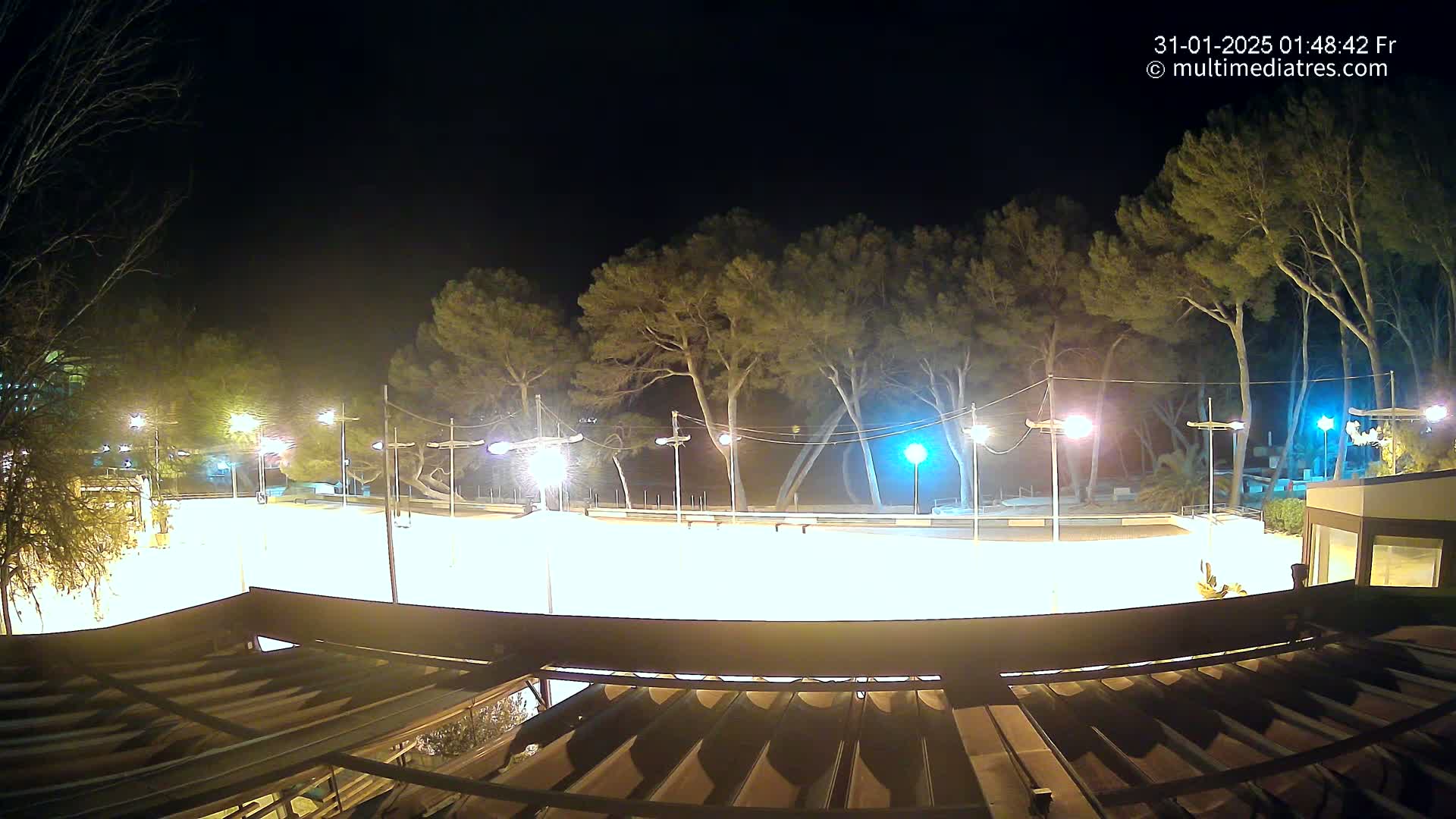 A brightly lit, empty plaza at night, surrounded by tall trees under a clear, dark sky.