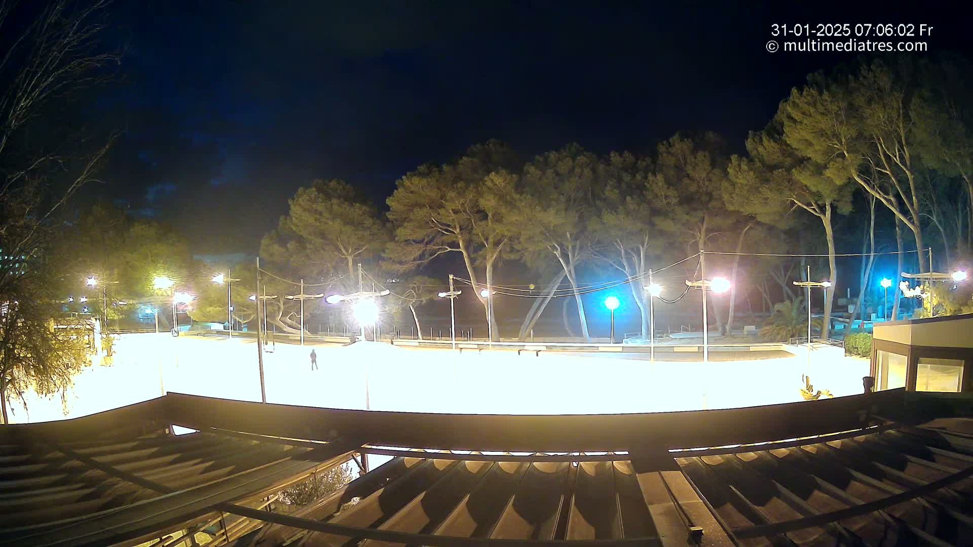 A brightly lit, empty outdoor rink at night, surrounded by trees under a clear, dark sky.