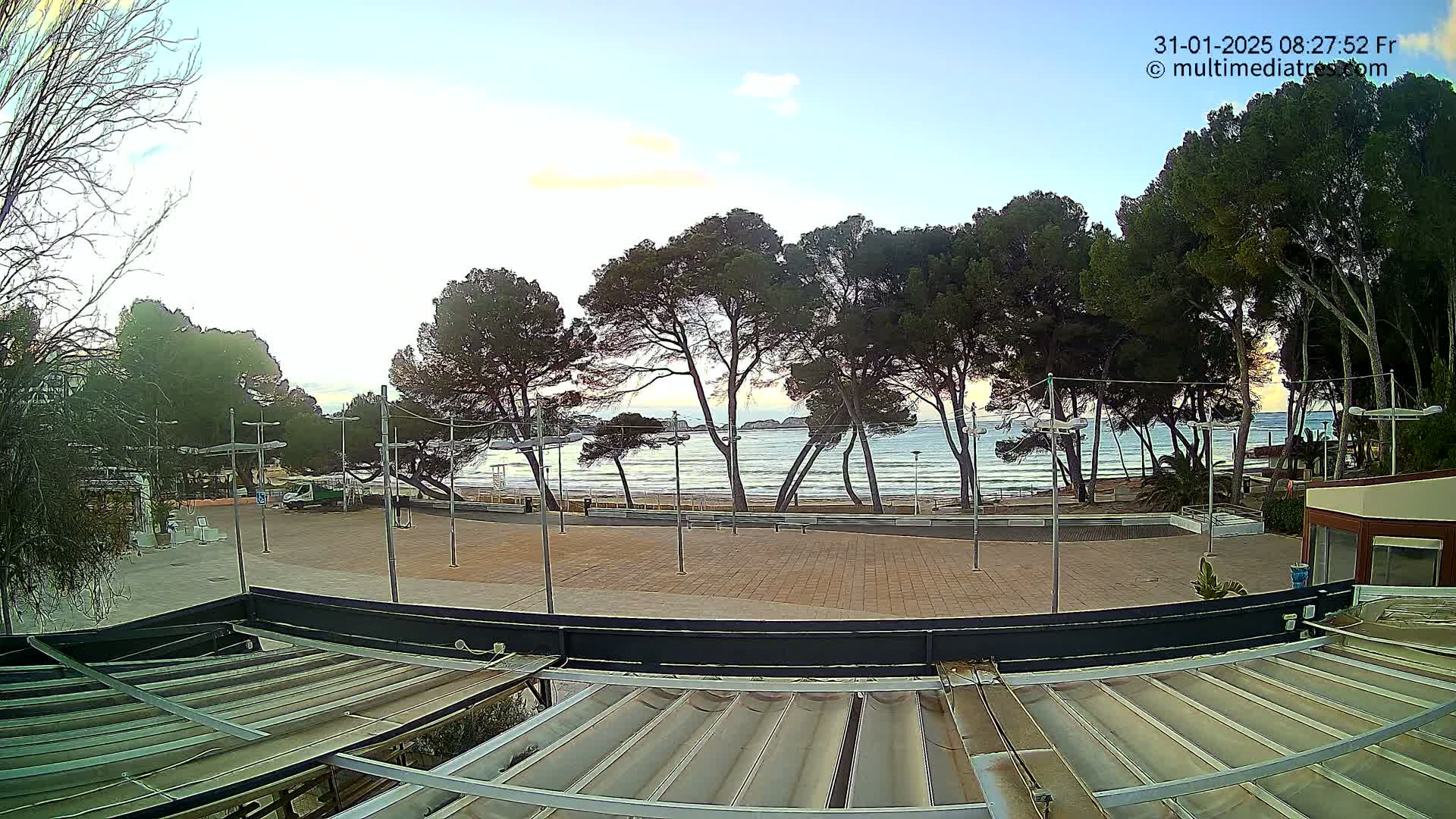 A paved plaza overlooks a calm ocean beach lined with pine trees under a clear, dawn sky.