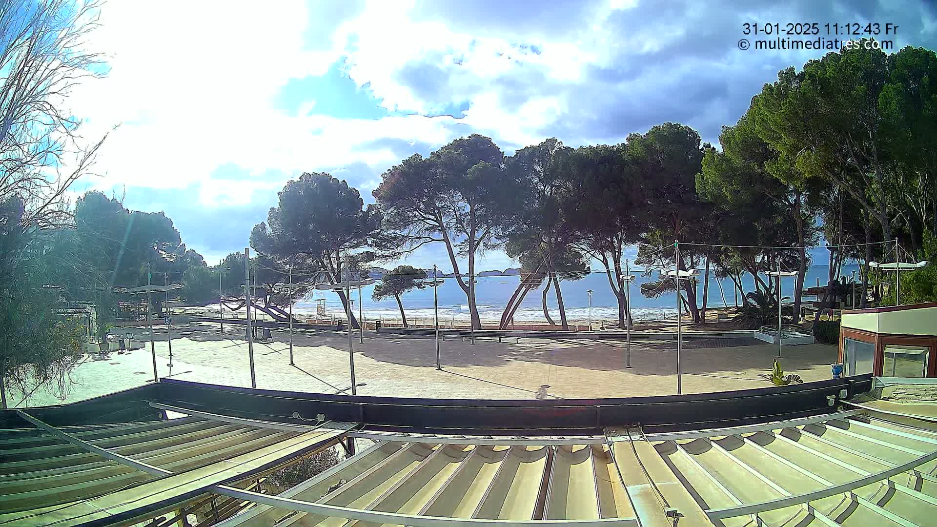 A mostly sunny day at a beachfront plaza with several tall pine trees, a sandy beach, and calm ocean waters.