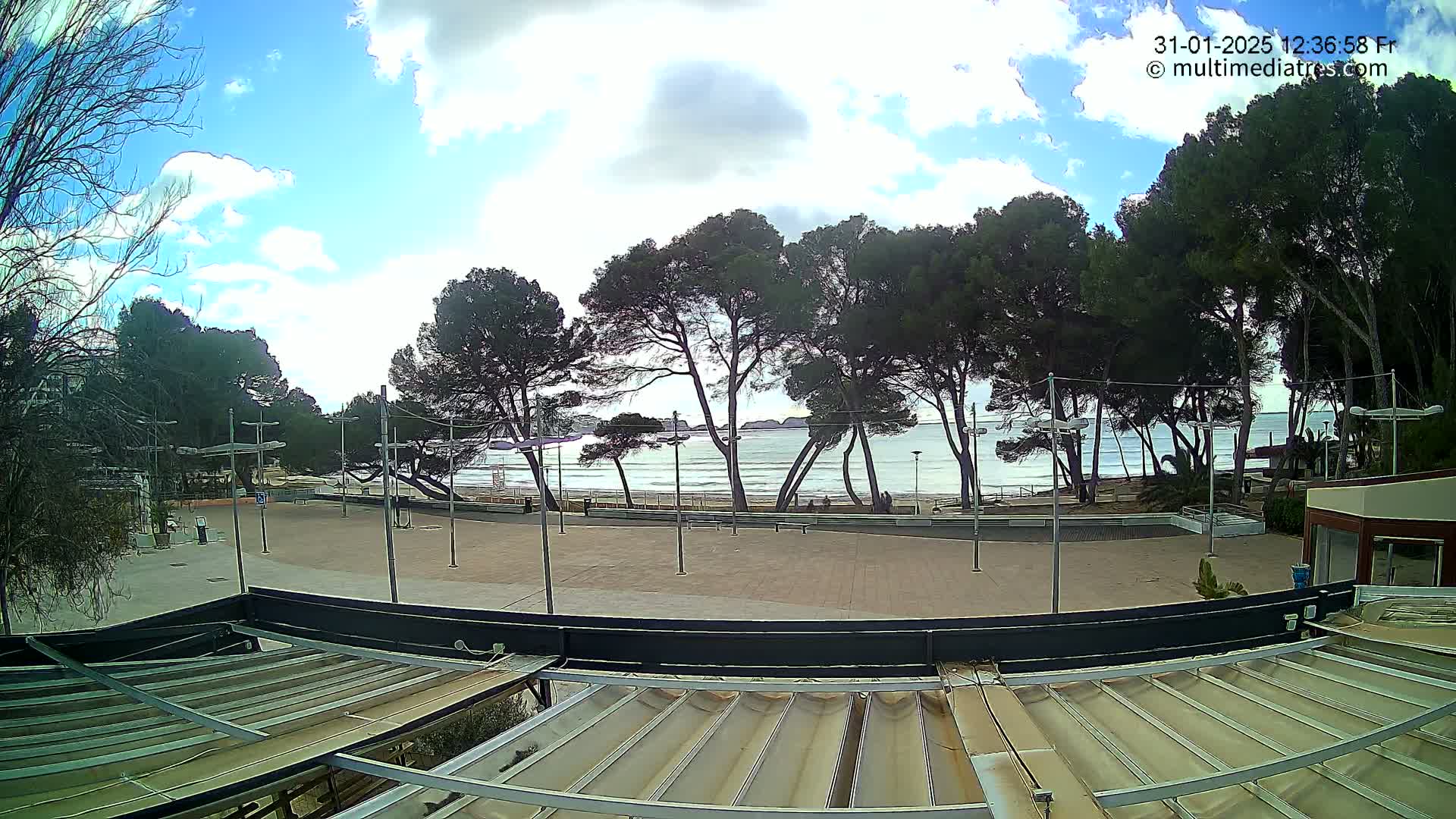 A mostly sunny day shows a paved plaza overlooking a calm ocean beach lined with pine trees.