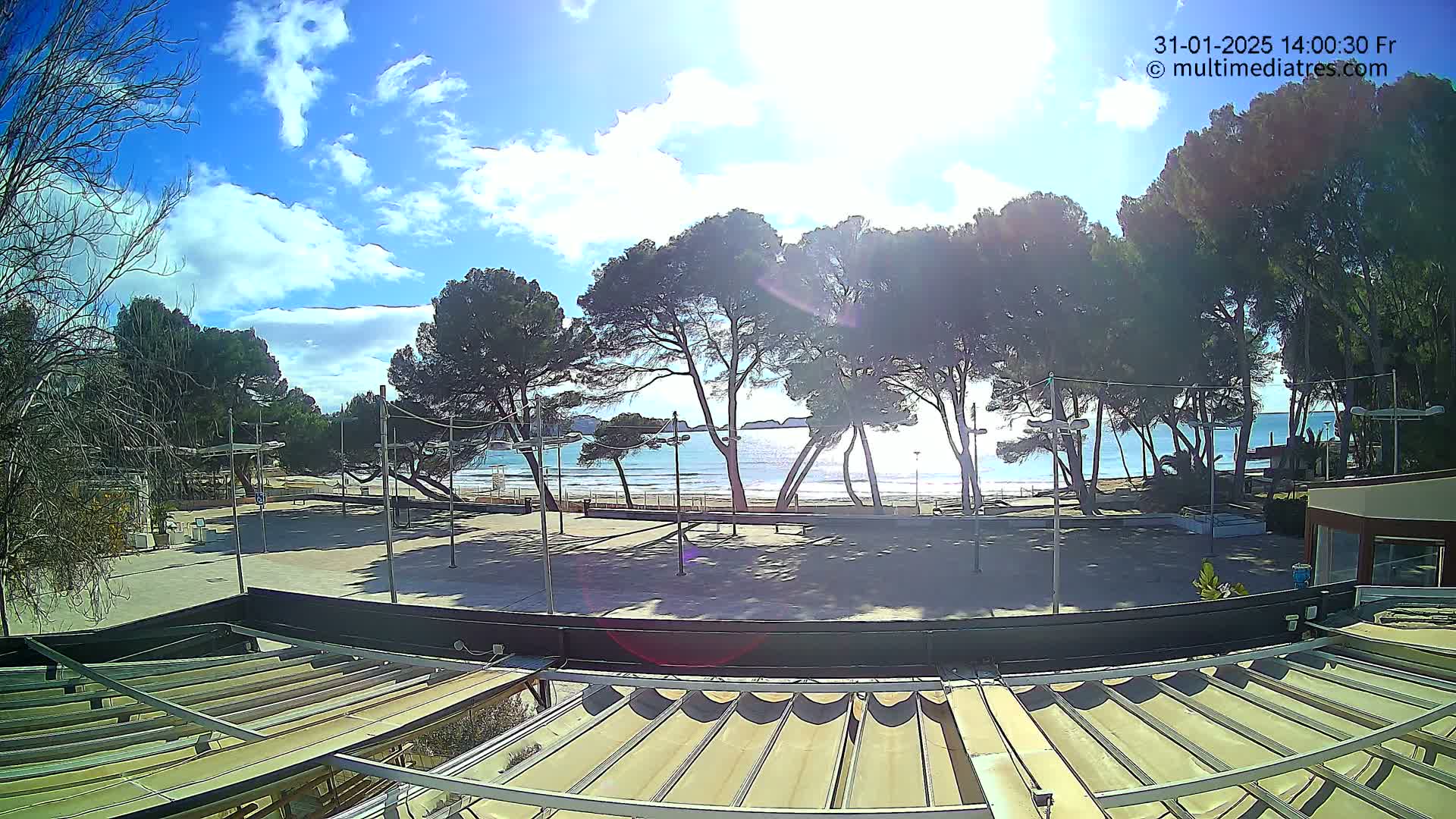 A sunny day reveals a beach scene viewed from a high vantage point, showing a sandy shore, calm ocean water, and a row of pine trees bordering a paved area with a retractable awning in the foreground.