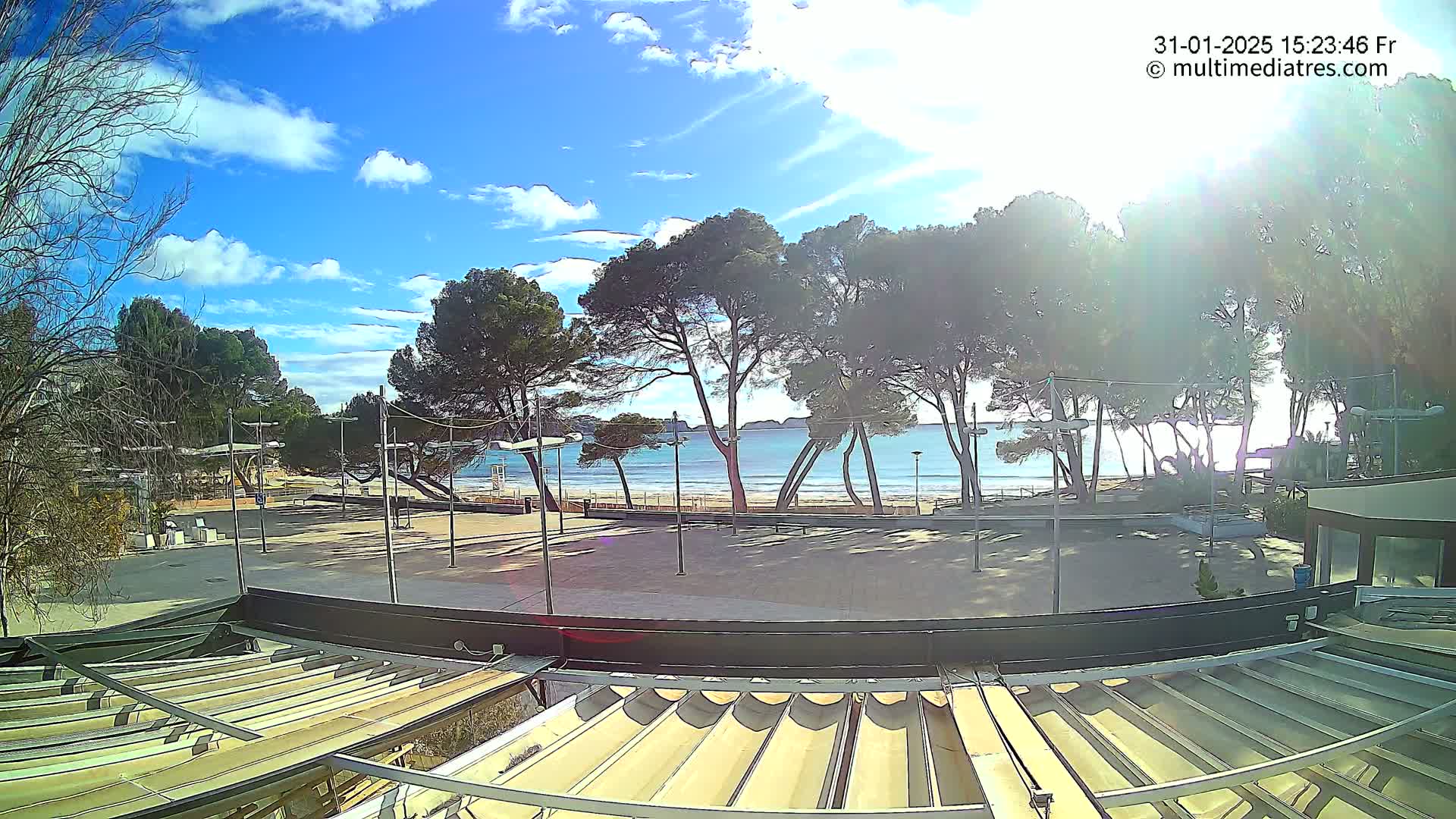 A sunny day at a beachside plaza, with several pine trees and a mostly clear sky showing above a calm, light-blue ocean.