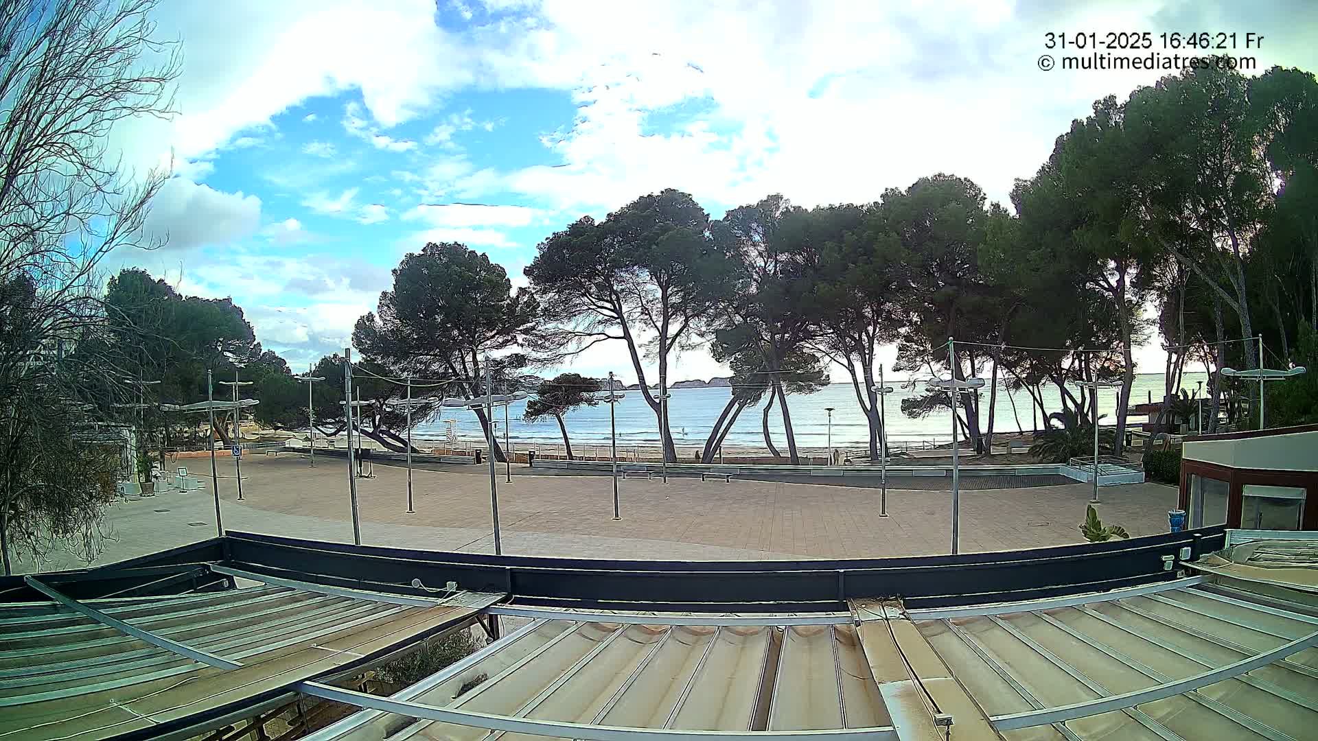 A partly cloudy day reveals a beachfront plaza with a row of pine trees separating the paved area from a calm, light-blue ocean.