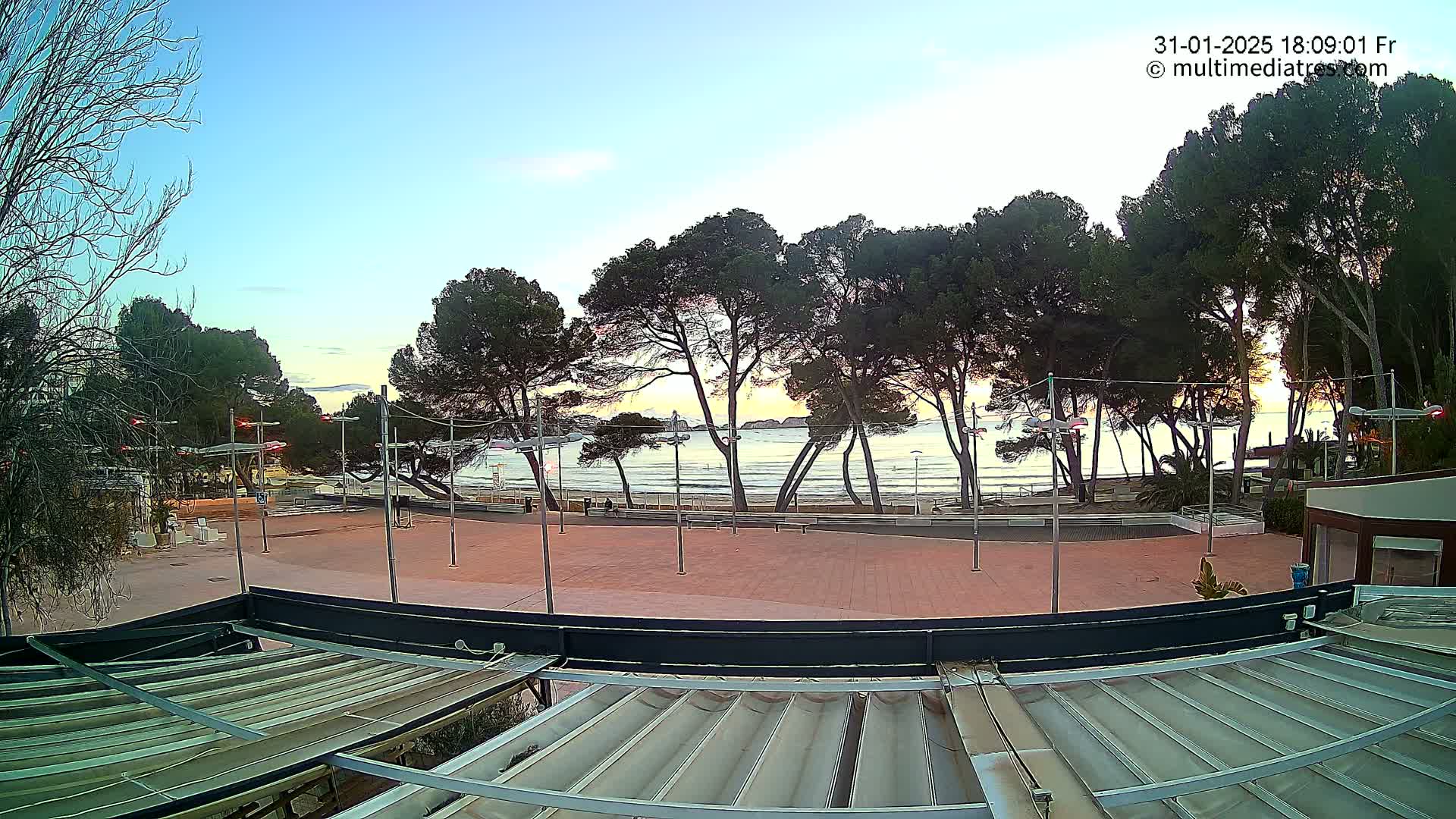 A paved plaza overlooks a calm ocean beach at sunset, lined with tall, slender pine trees.