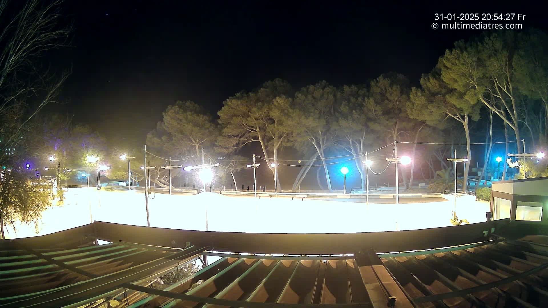 A brightly lit, empty paved area at night, surrounded by tall trees under a clear, dark sky.