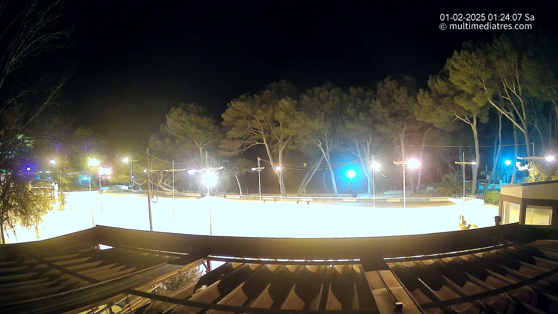 A brightly lit, empty outdoor rink at night, surrounded by tall, dark trees under a clear sky.