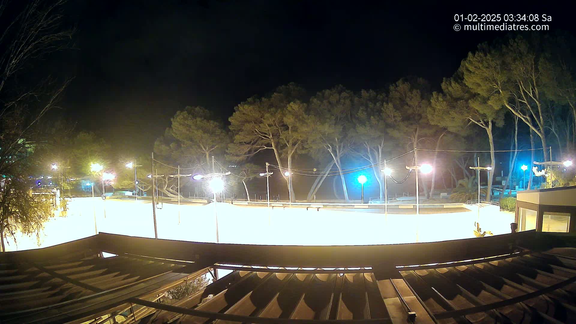 A brightly lit, empty paved area at night, surrounded by tall trees under a clear, dark sky.