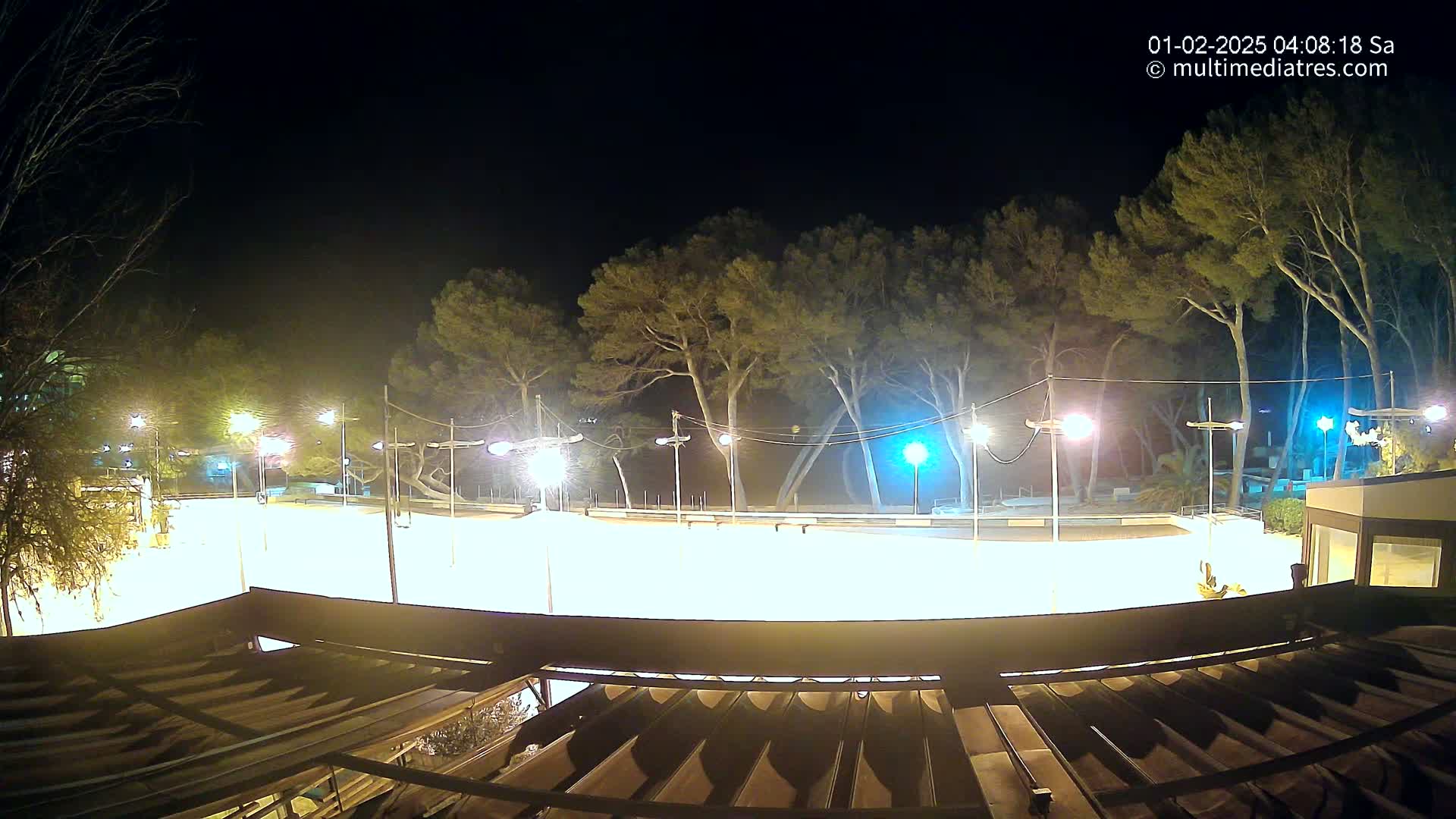 A brightly lit, empty outdoor rink at night, surrounded by tall, dark trees under a clear sky.