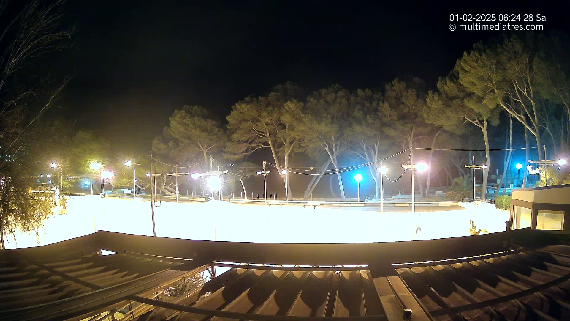 A brightly lit, empty outdoor rink at night is surrounded by tall, dark trees under a clear, dark sky.