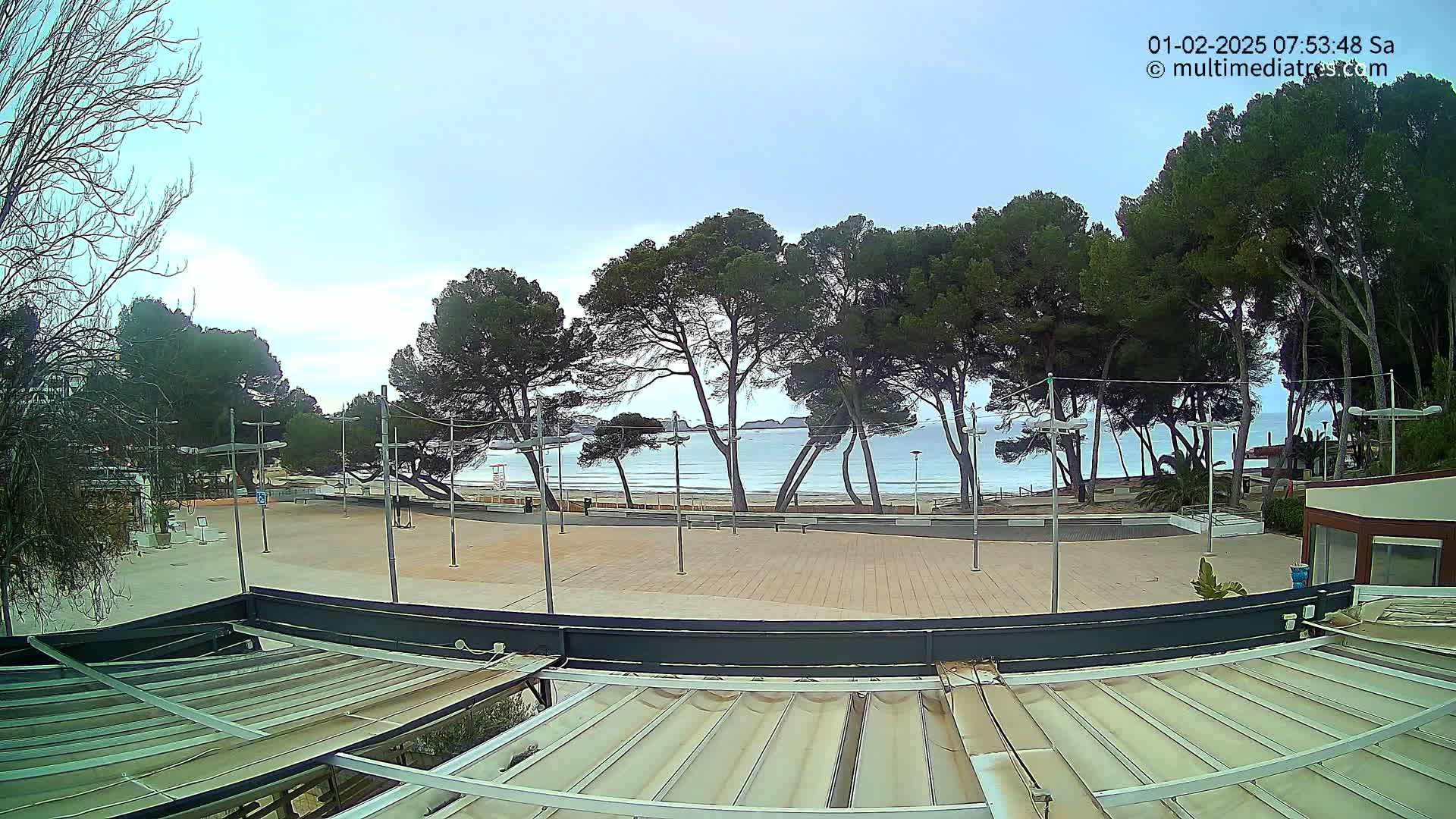 An overcast day reveals a mostly empty beachfront plaza with a row of pine trees separating it from a calm, light-blue sea.