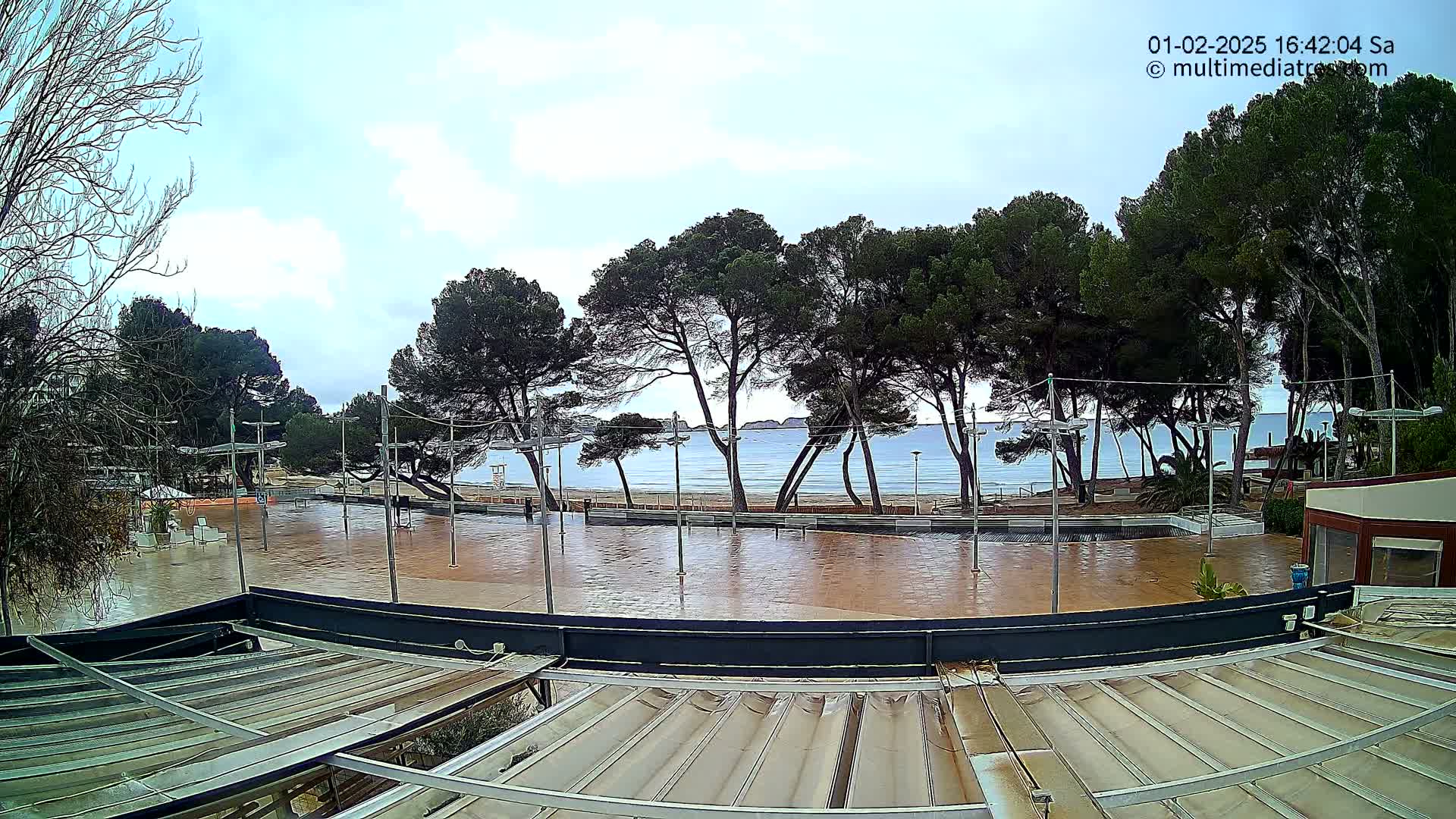 A wet, paved plaza overlooks a calm ocean beach under a cloudy sky, lined with tall pine trees.