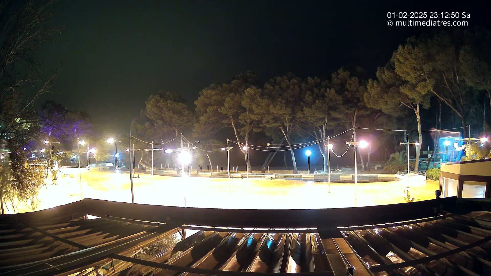 A brightly lit, empty outdoor rink at night, surrounded by trees under a clear, dark sky.
